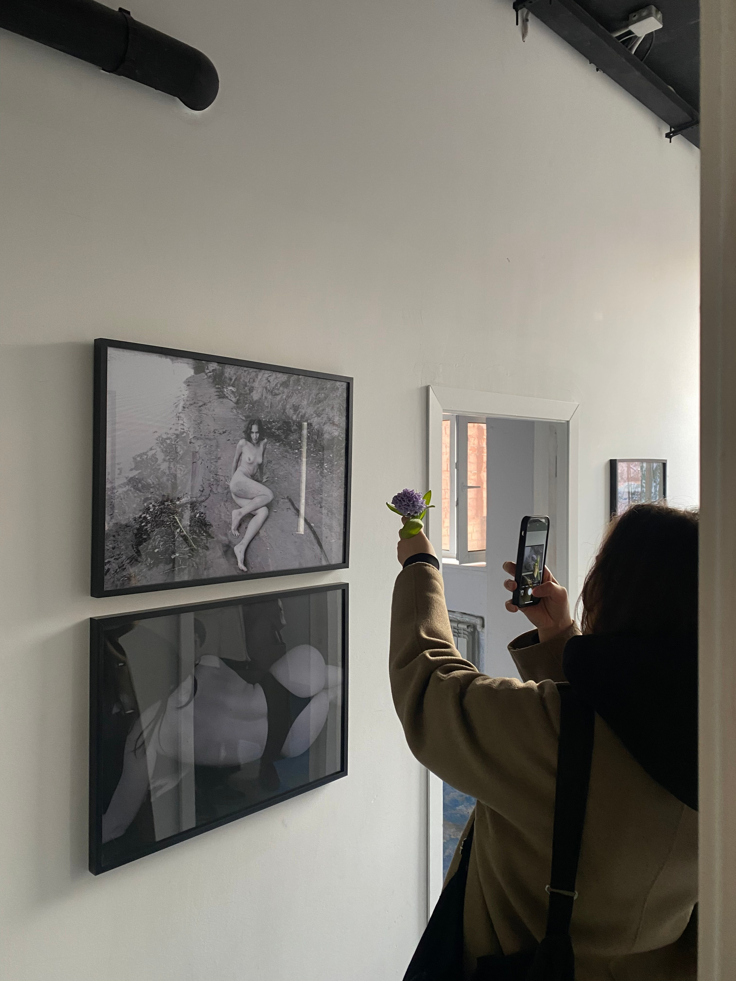 My installation. Smirnovatais