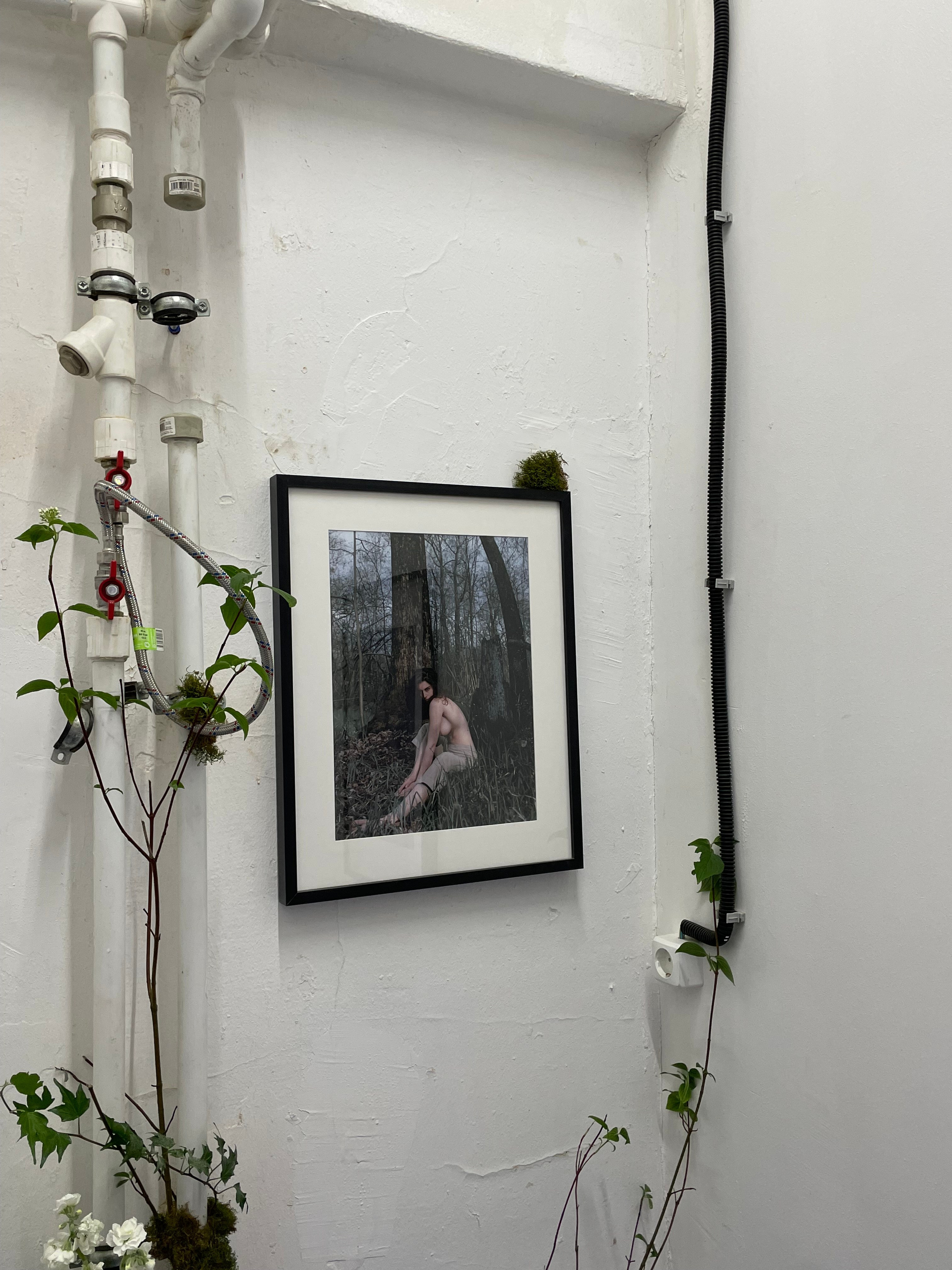 My installation. Smirnovatais
