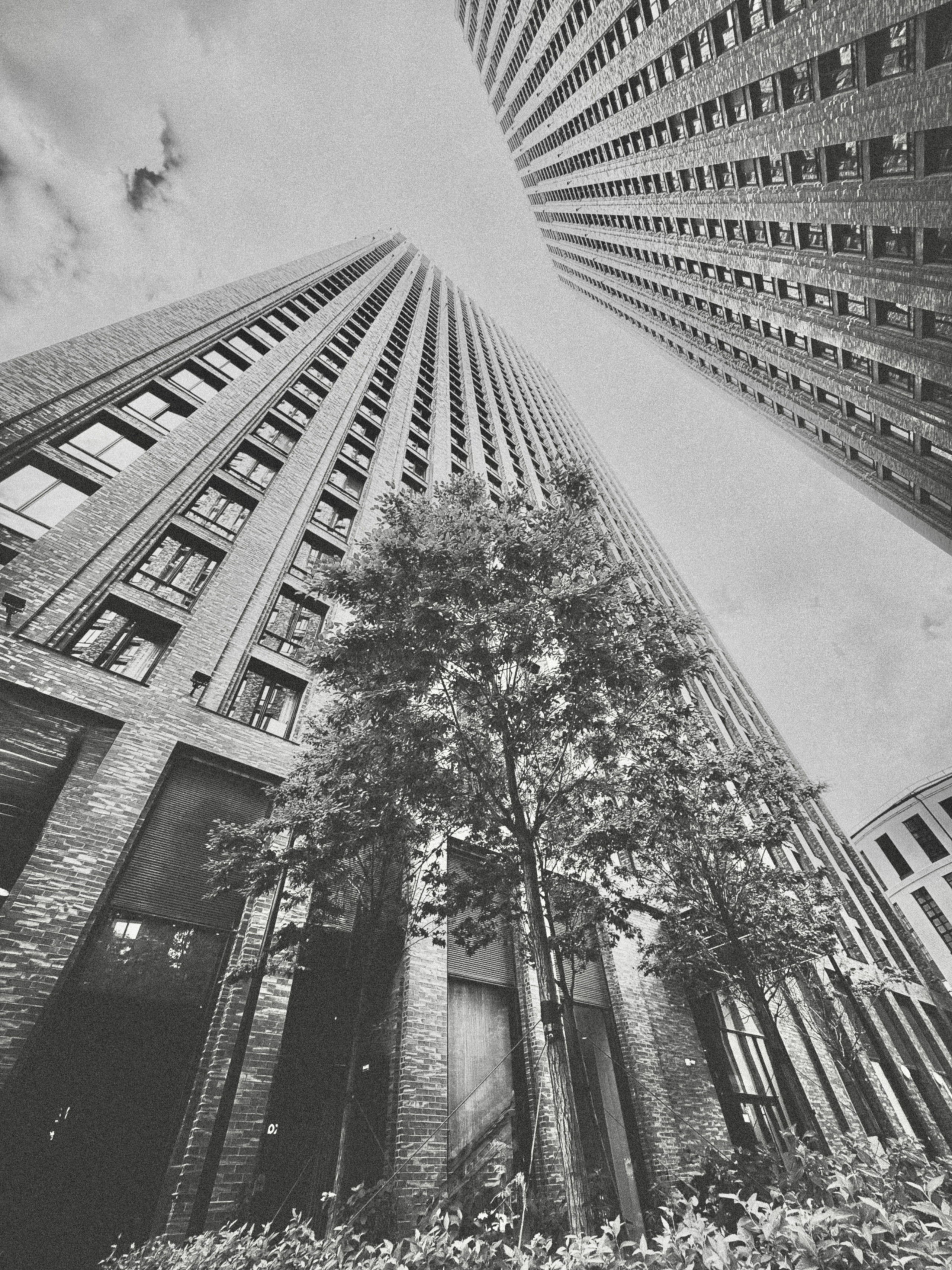 Зачем и сколько. Фотохудожник Анна Забродина