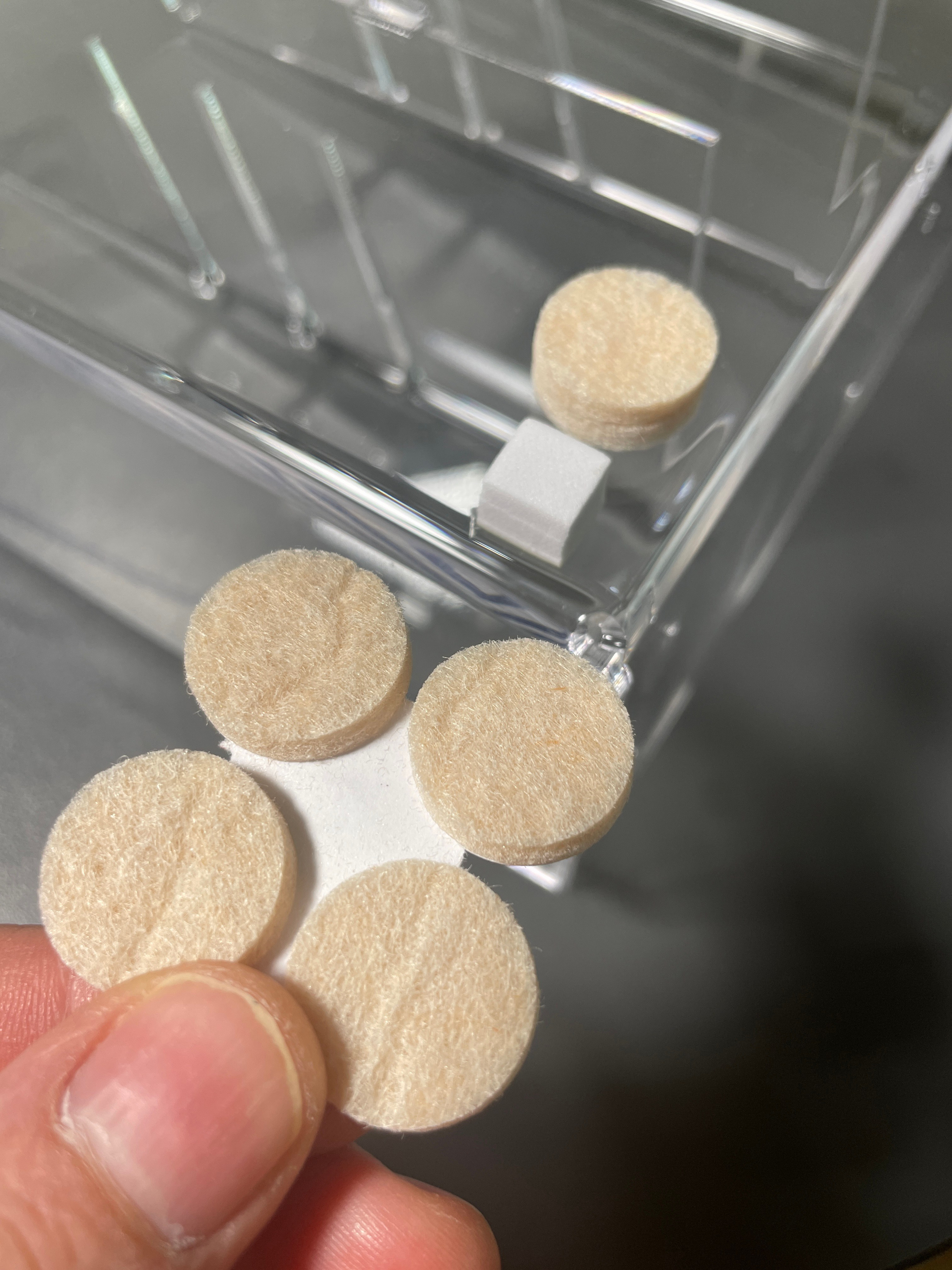 Советы и идеи. Кормушки для птиц на окно Чирик-Чирик