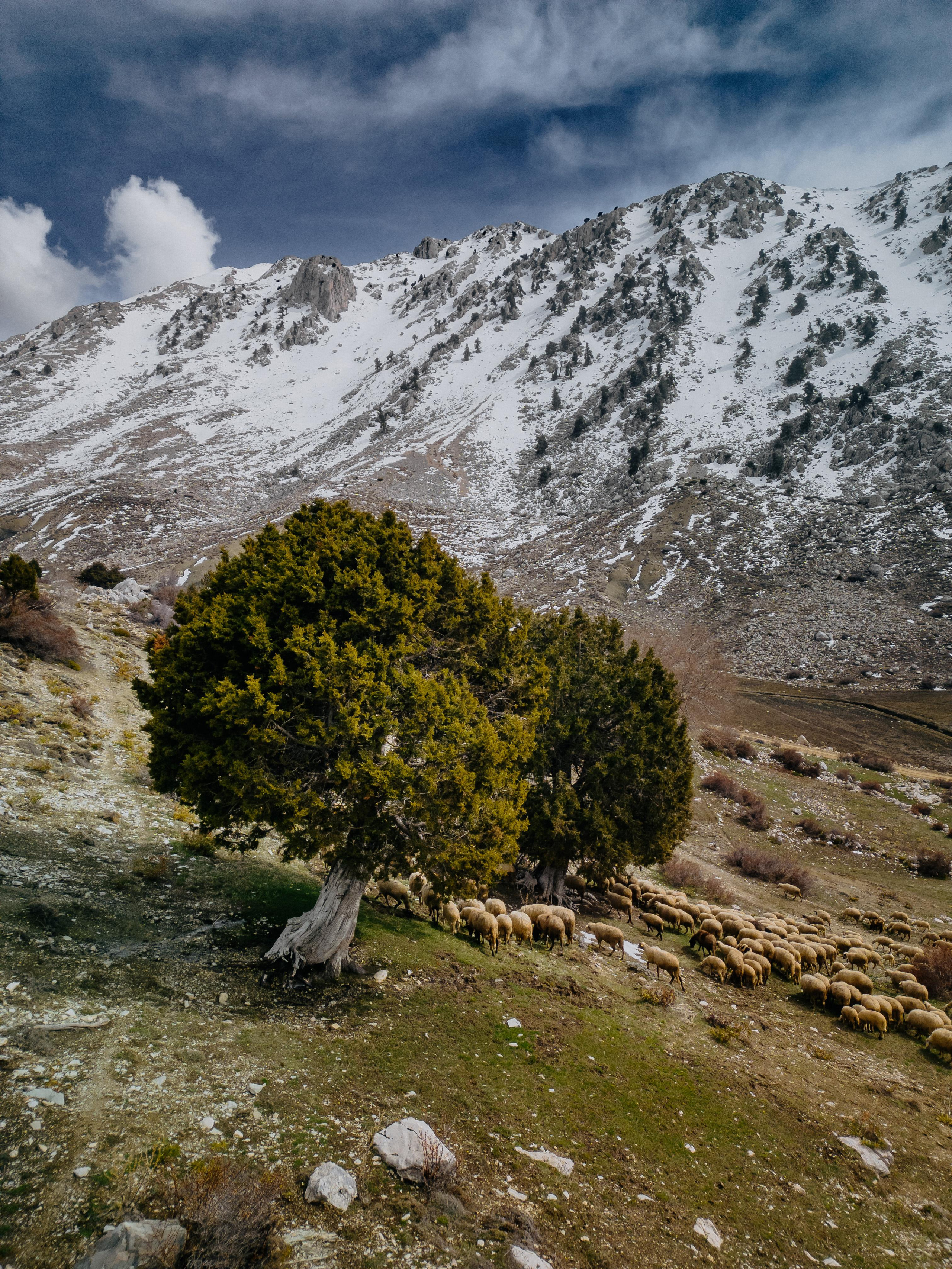 “Турецкая Исландия” 10-12 июня (1). Свадебный и Трэвел фотограф Рустам Калимуллин