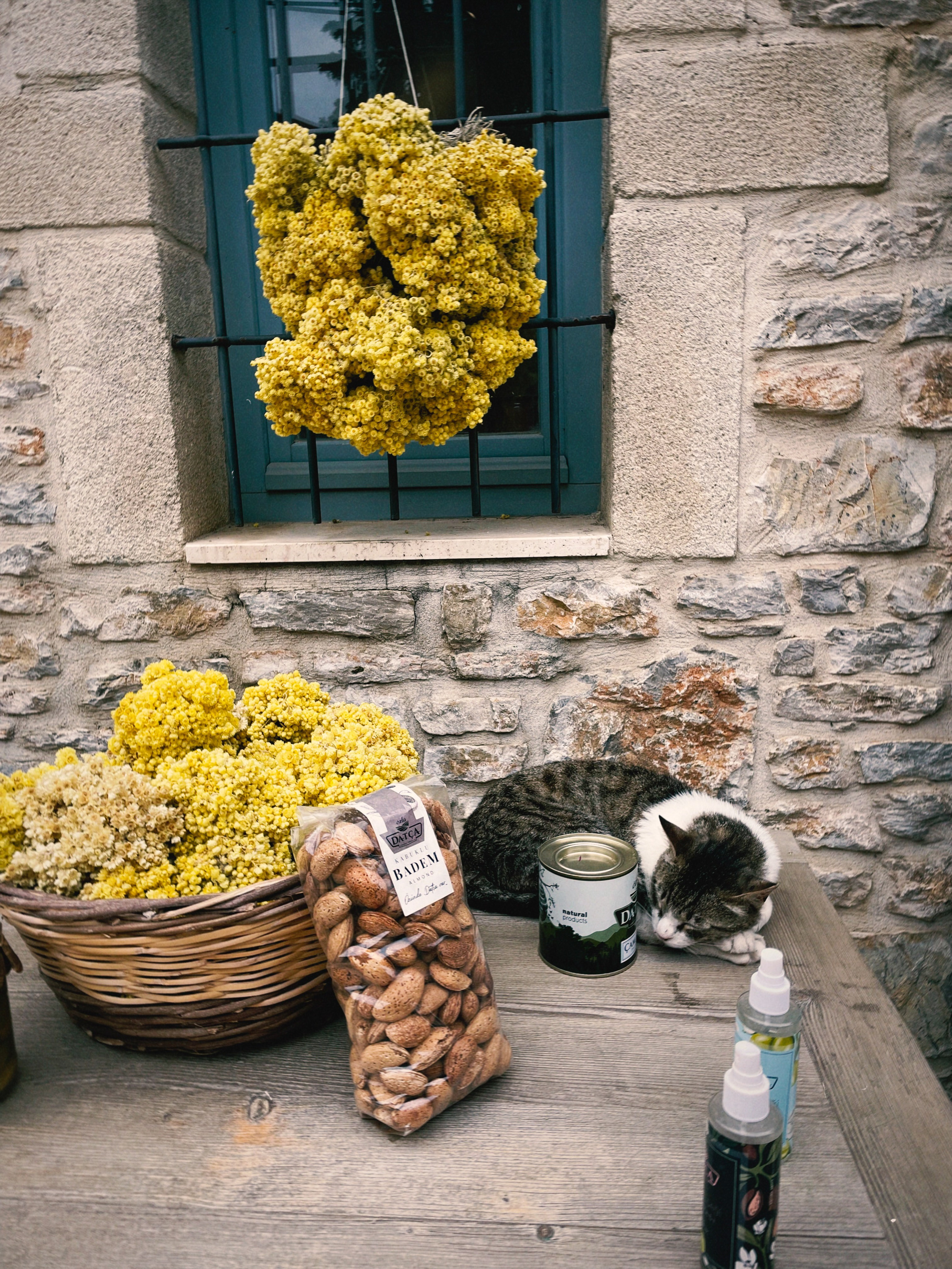 Фотосессия в Бодруме от фотографа в Турции — Мария Оводова