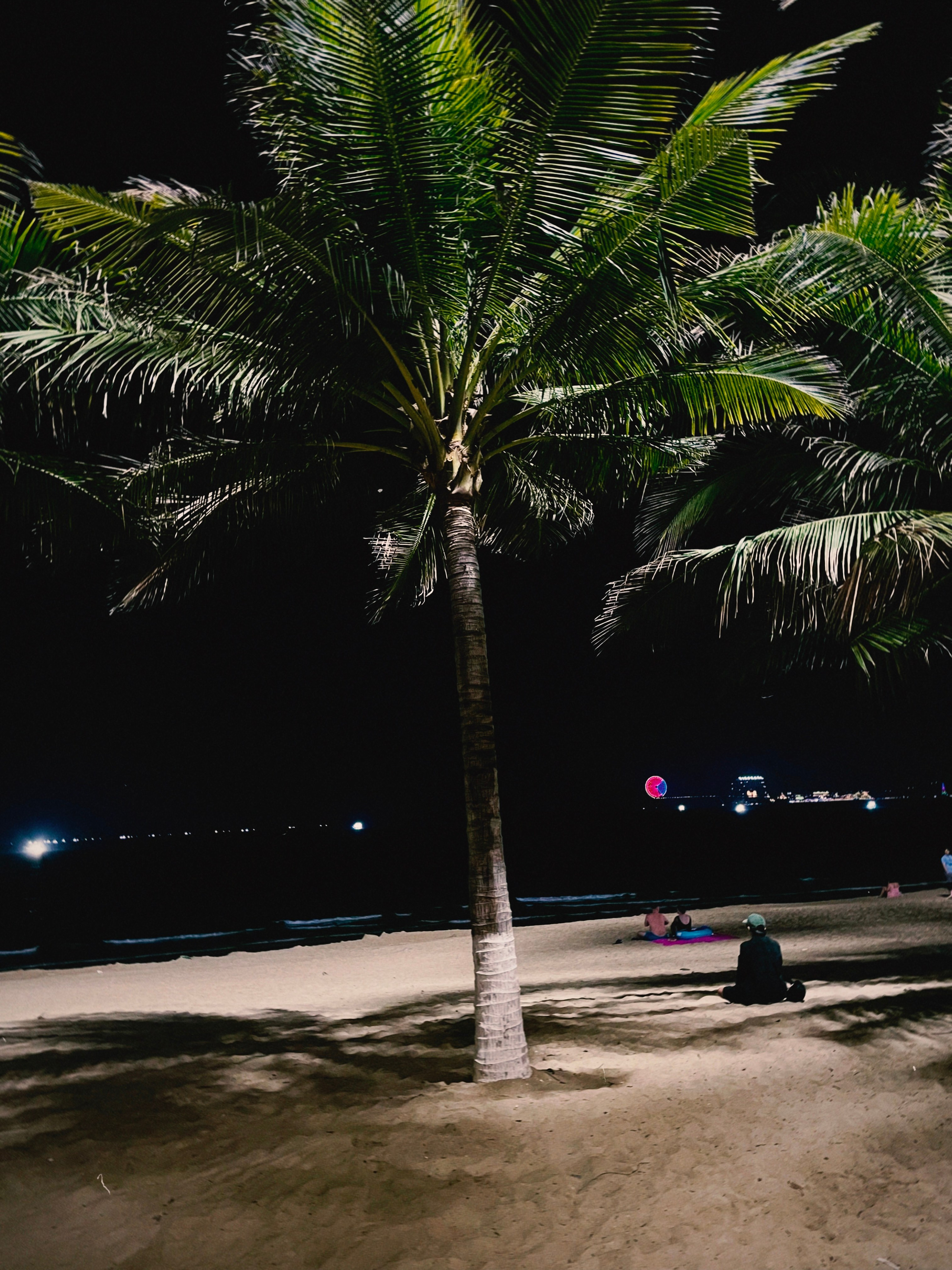 Спокойная жизнь на берегу моря — Нячанг