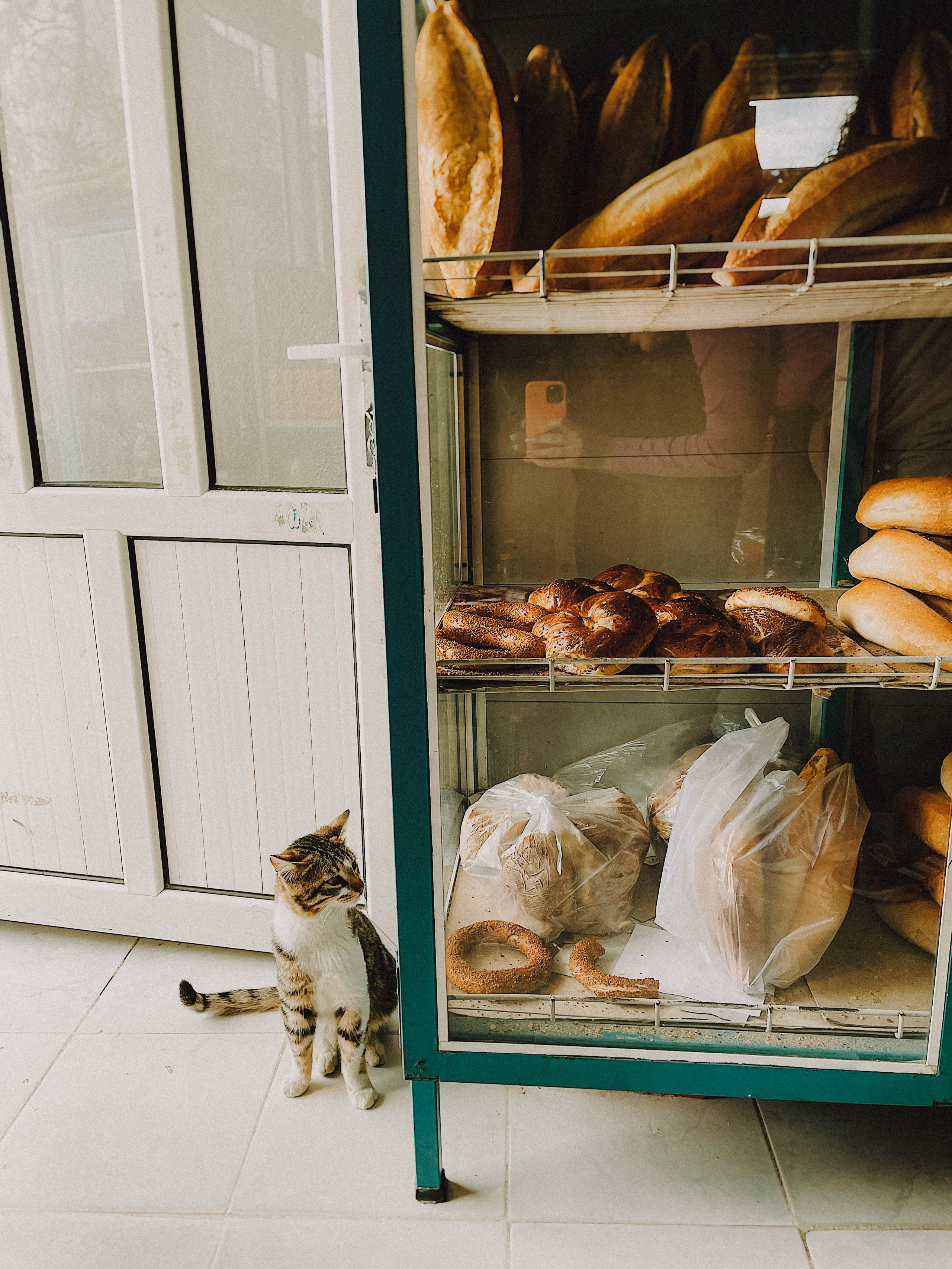 Что посмотреть в Бодруме — путеводитель от фотографа в Турции