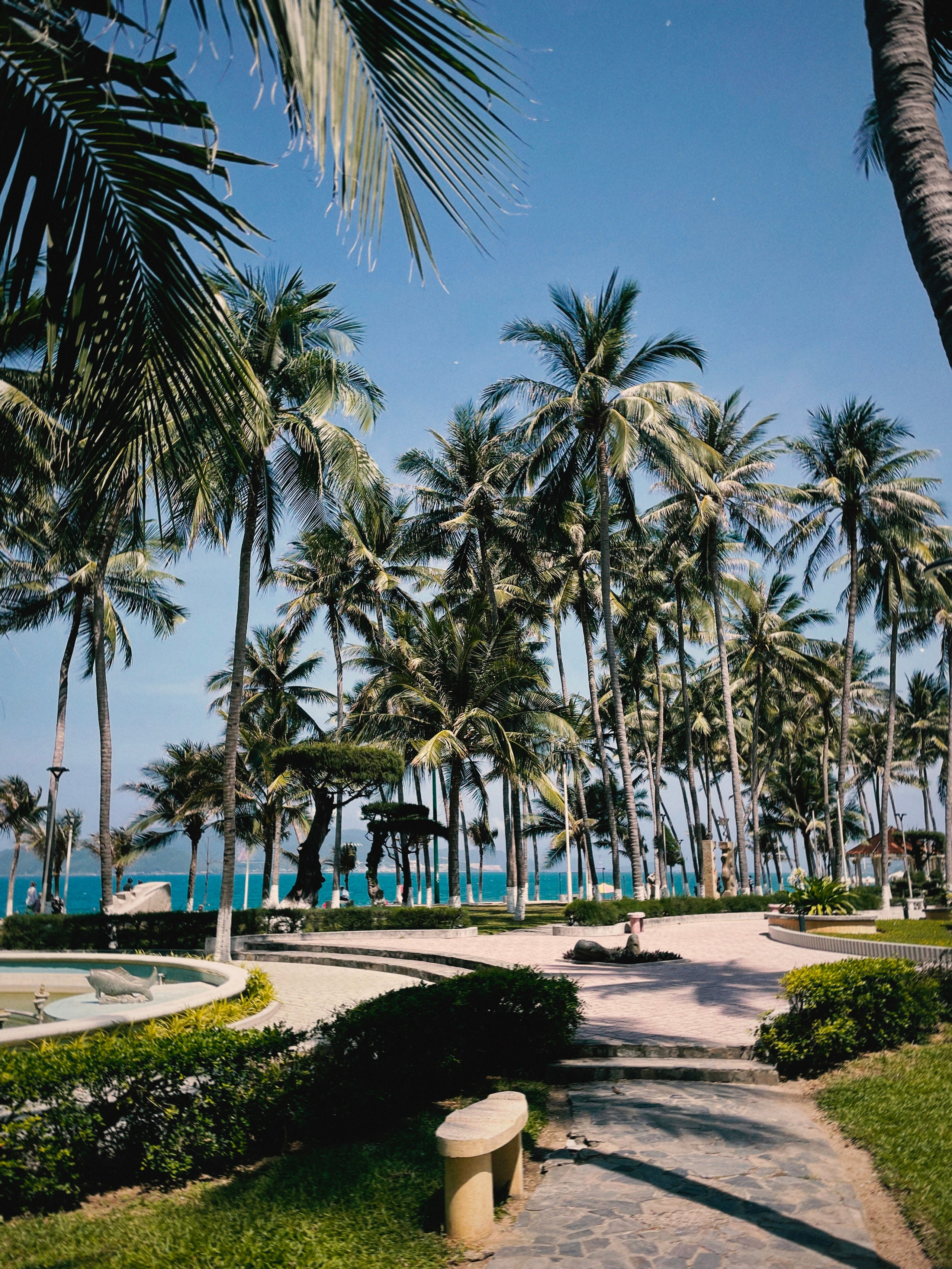 Фотограф в Нячанг — свадебная и семейная фотография