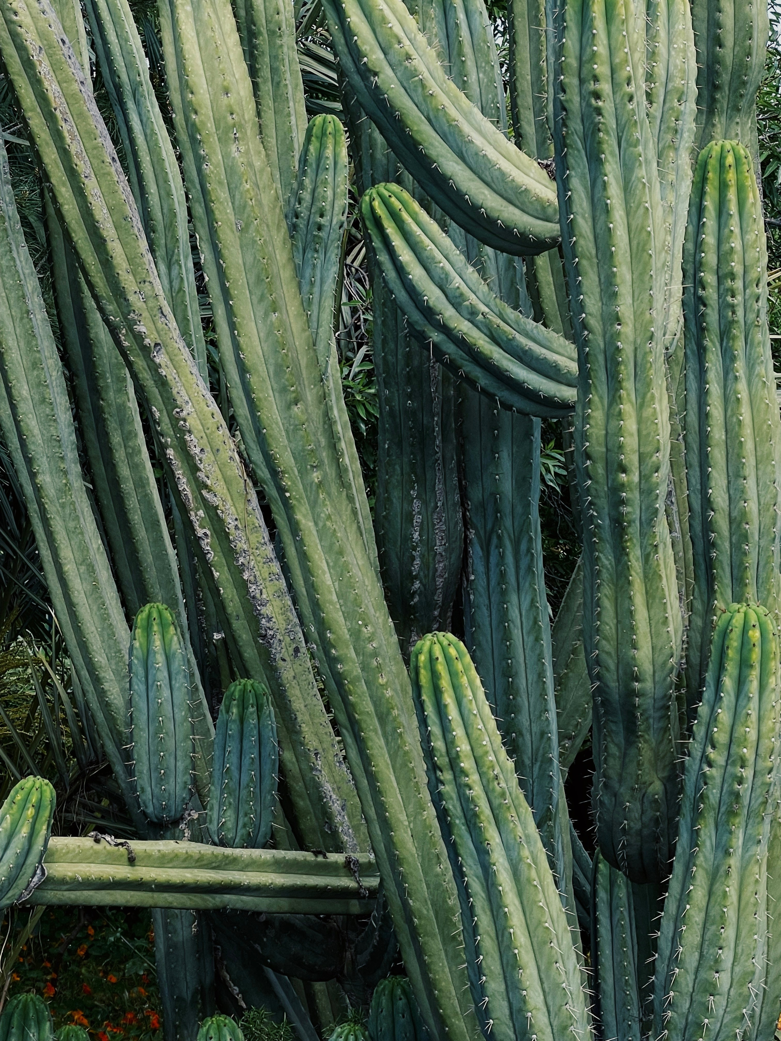 Красивая фотосессия Бодрум — фотограф Мария Оводова 