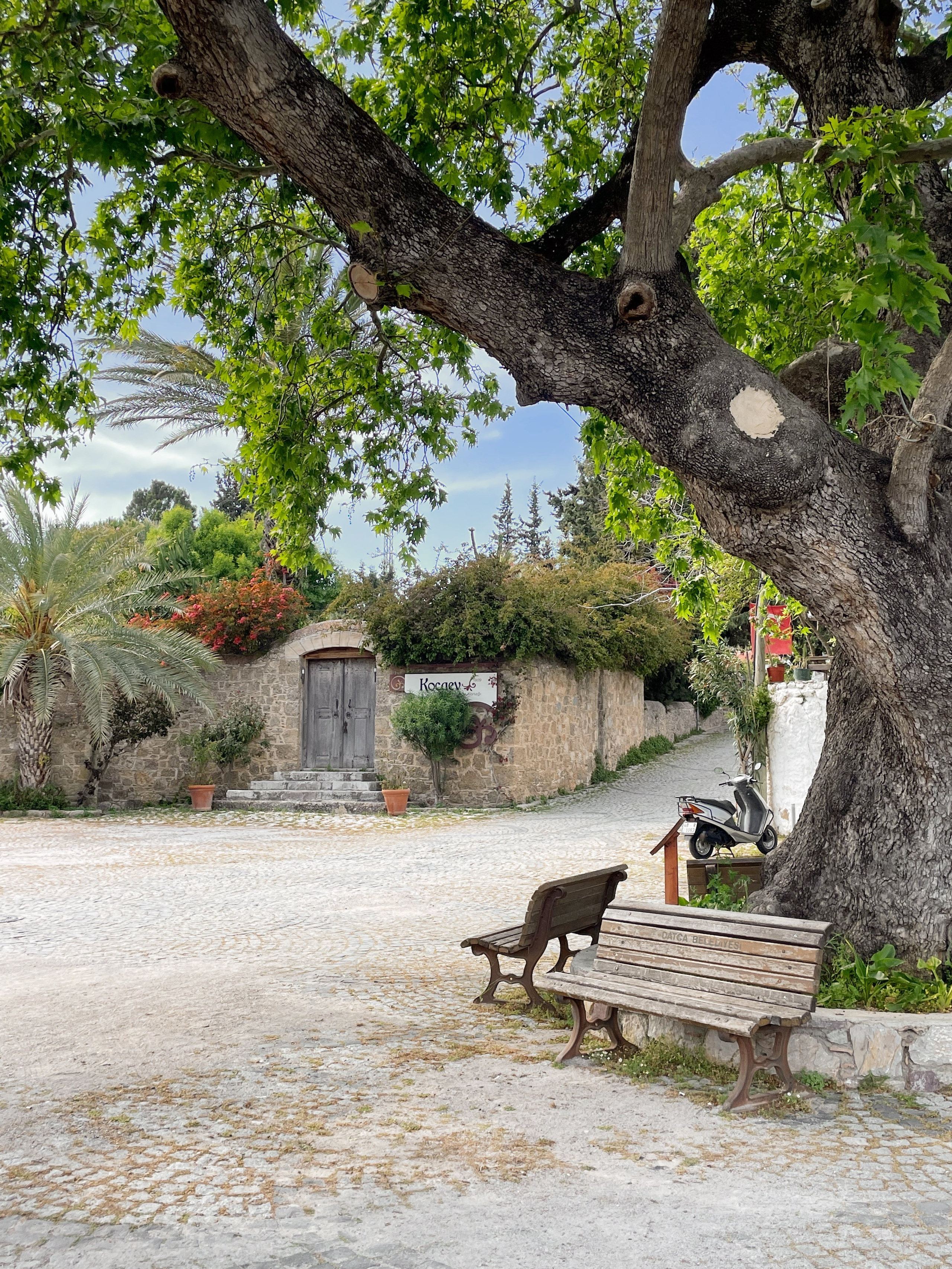 Как добраться до Датча Турция — советы и интересные маршруты по полуострову 