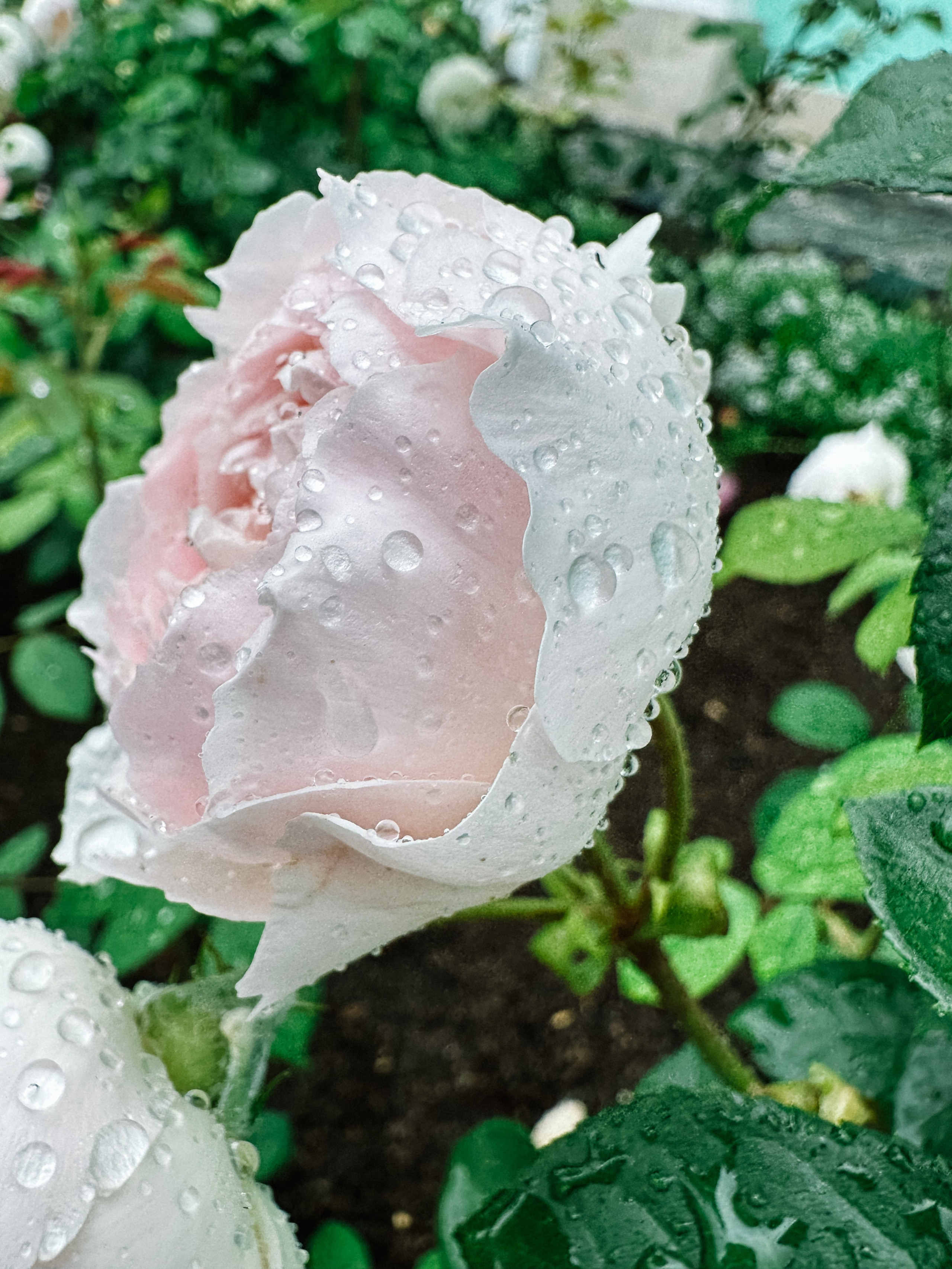 MODELS SCHOOL SRC MODELS. Фотограф в России, Семейный фотограф, репортажный фотограф, детский фотограф, портретный фотограф, контент фотограф, универсальный фотограф