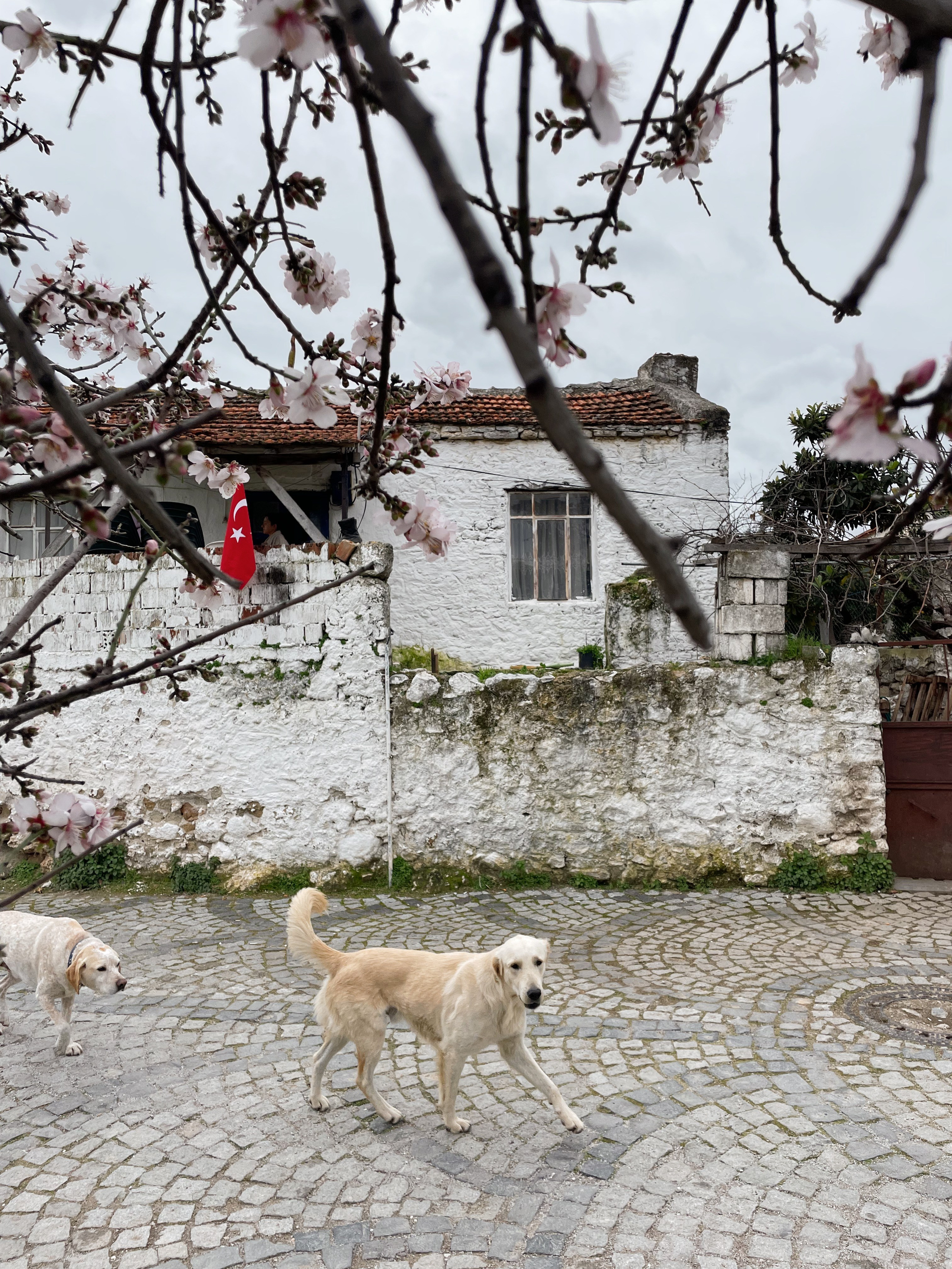 Красивые места и маршруты Бодрума от фотографа в Турции 