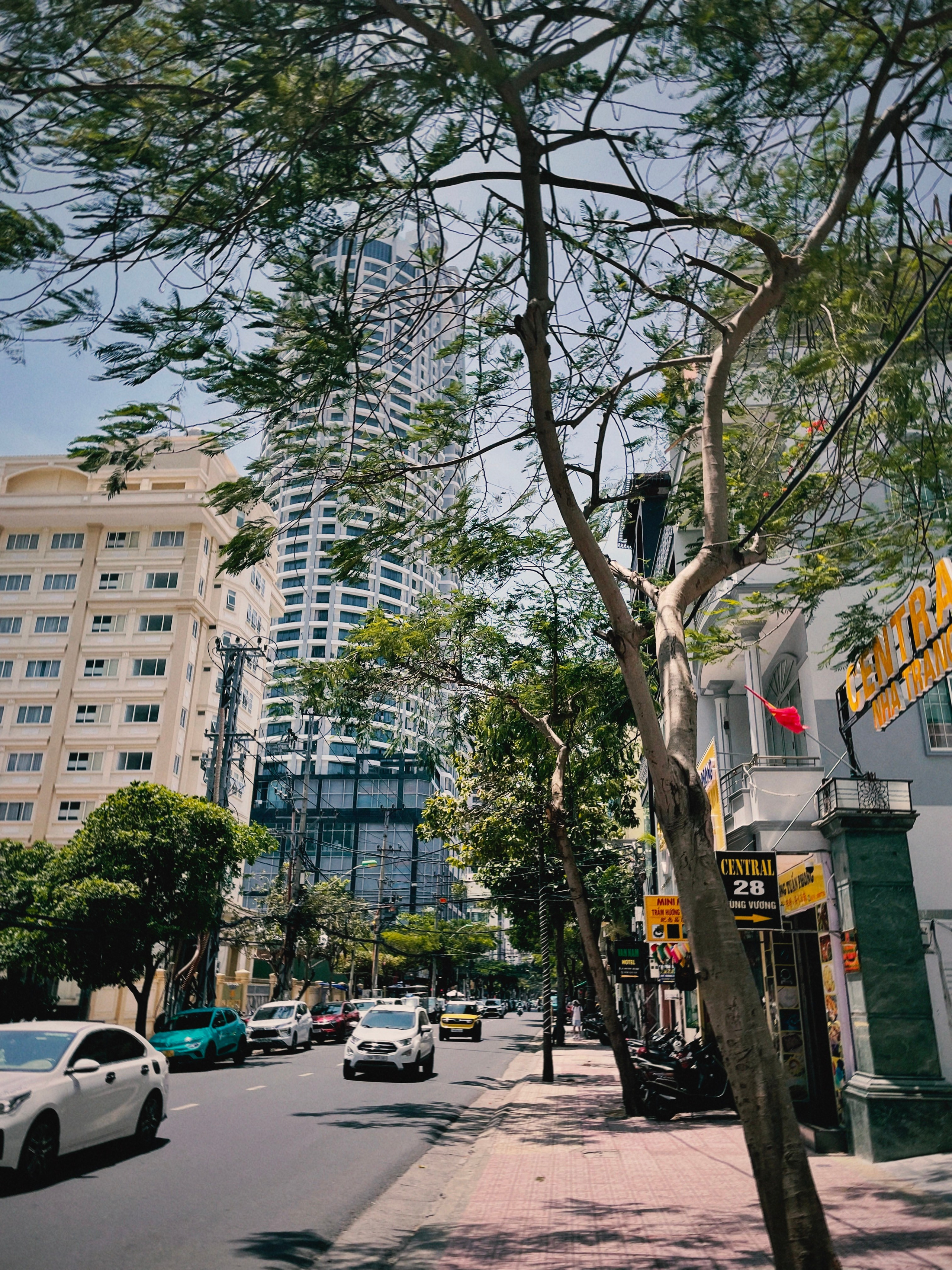 Нячанг зеленая набережная и белоснежные пляжи 