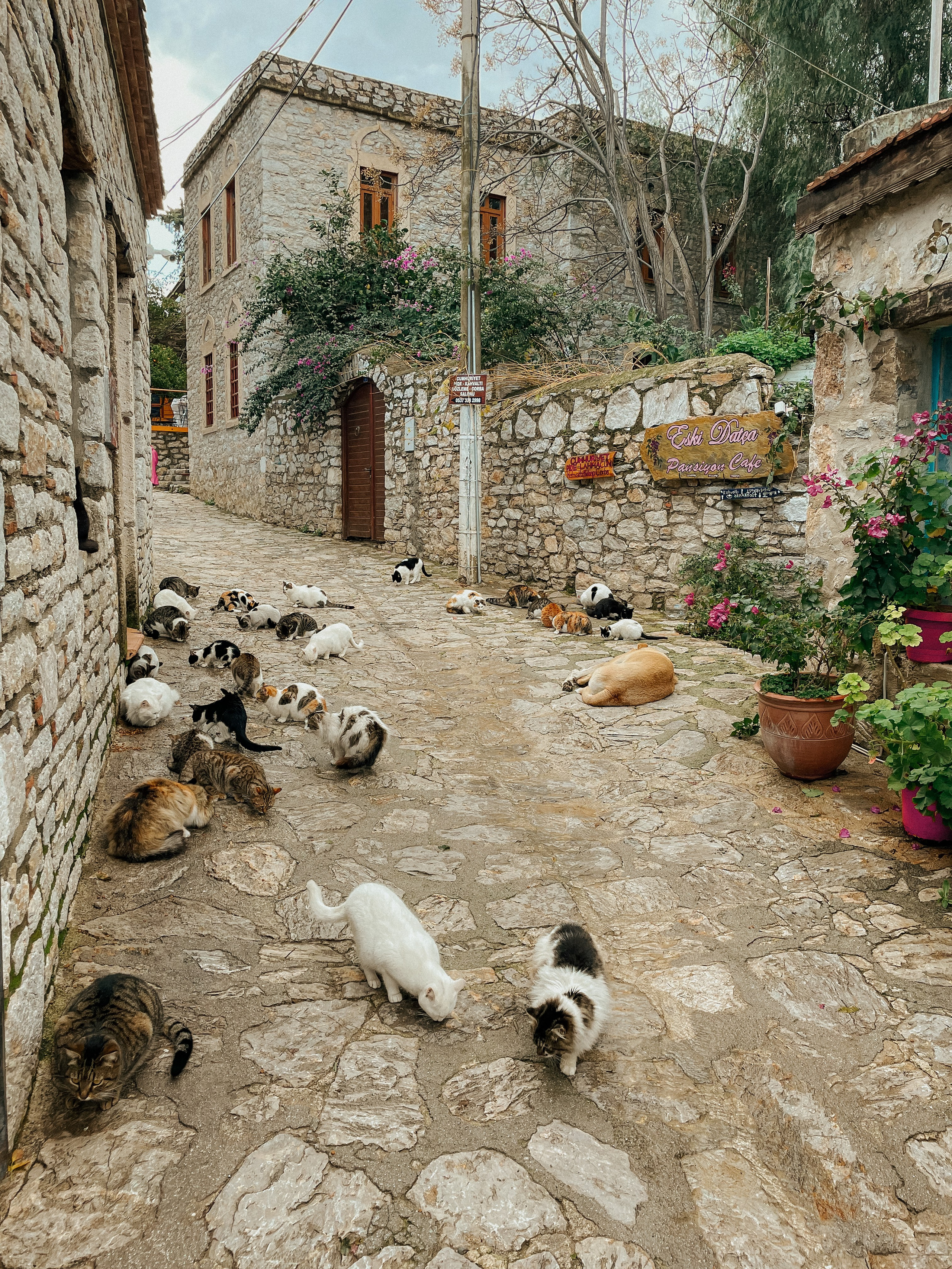 Фотосессия Мармарис — свадебный фотограф в Турции организует ваше торжество