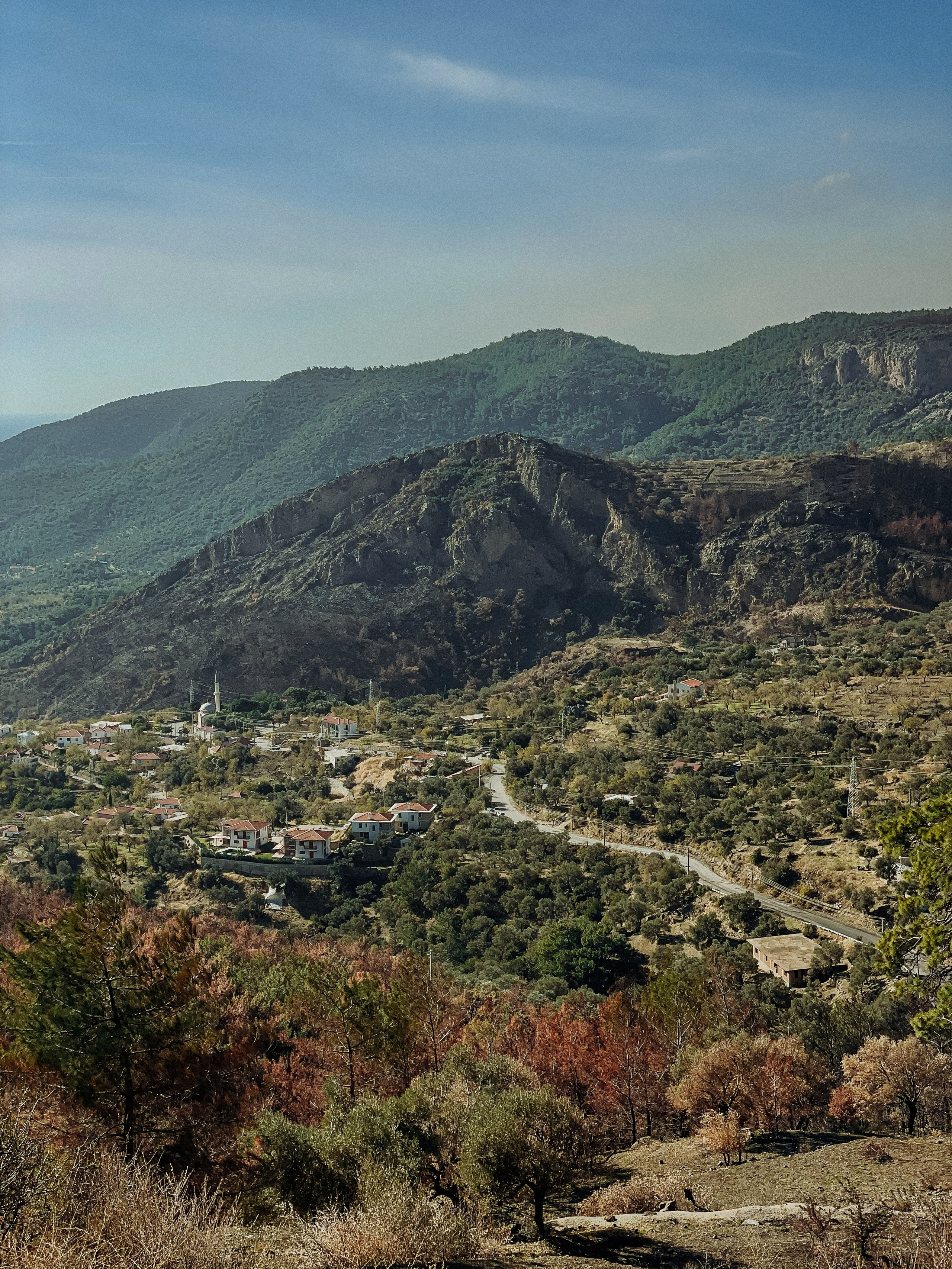 Где остановиться в Датче — лучшие отели и апартаменты побережья Турции