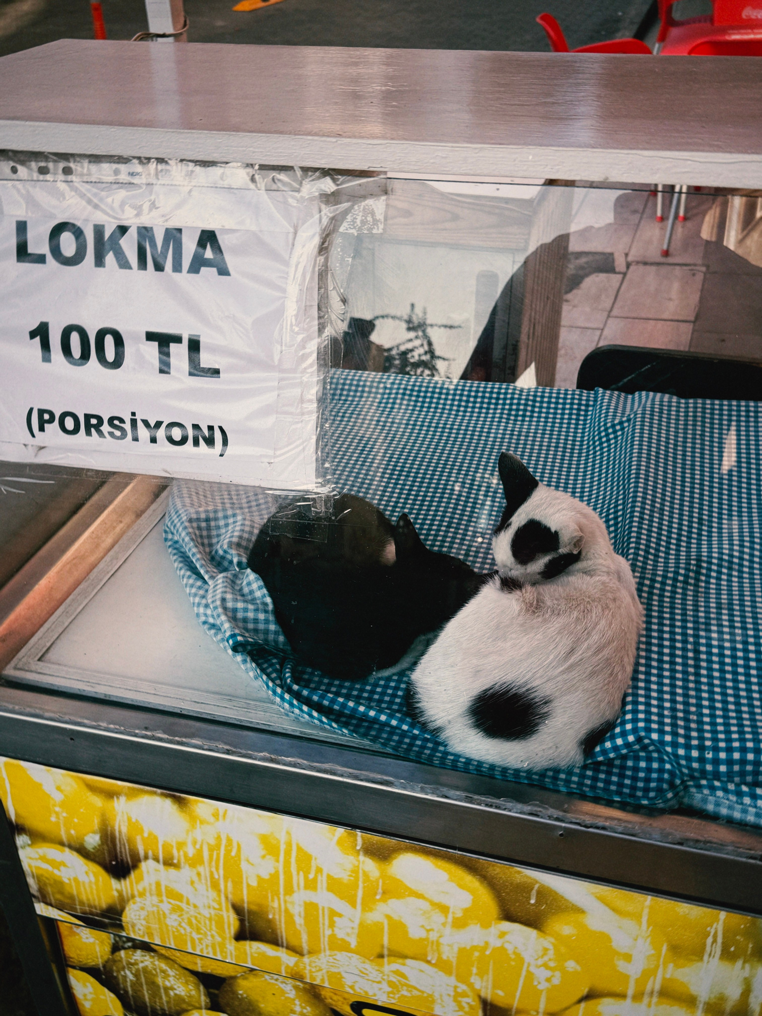 Бодрум, Датча, Турция: что посмотреть, уникальные места и маршруты| блог фотографа. Фотограф Краснодар, Майкоп — Мария Оводова | Современная свадебная и семейная фотография