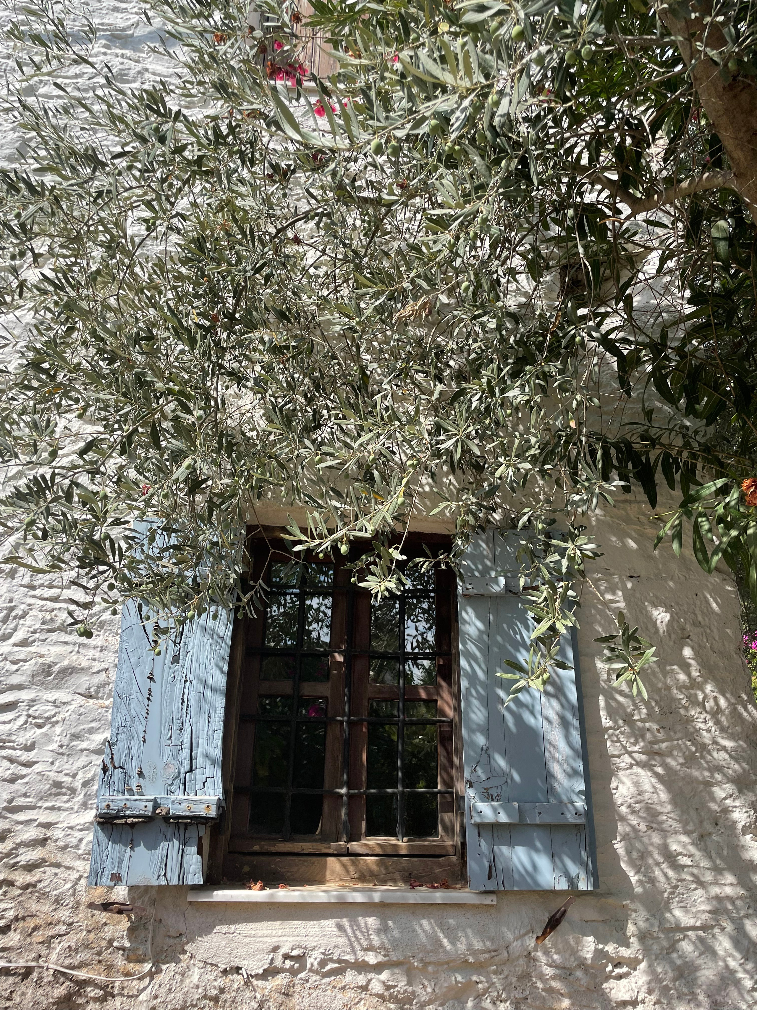 Уникальная природа Турции — маршруты для прогулок и хайкинг Датча, Бодрум