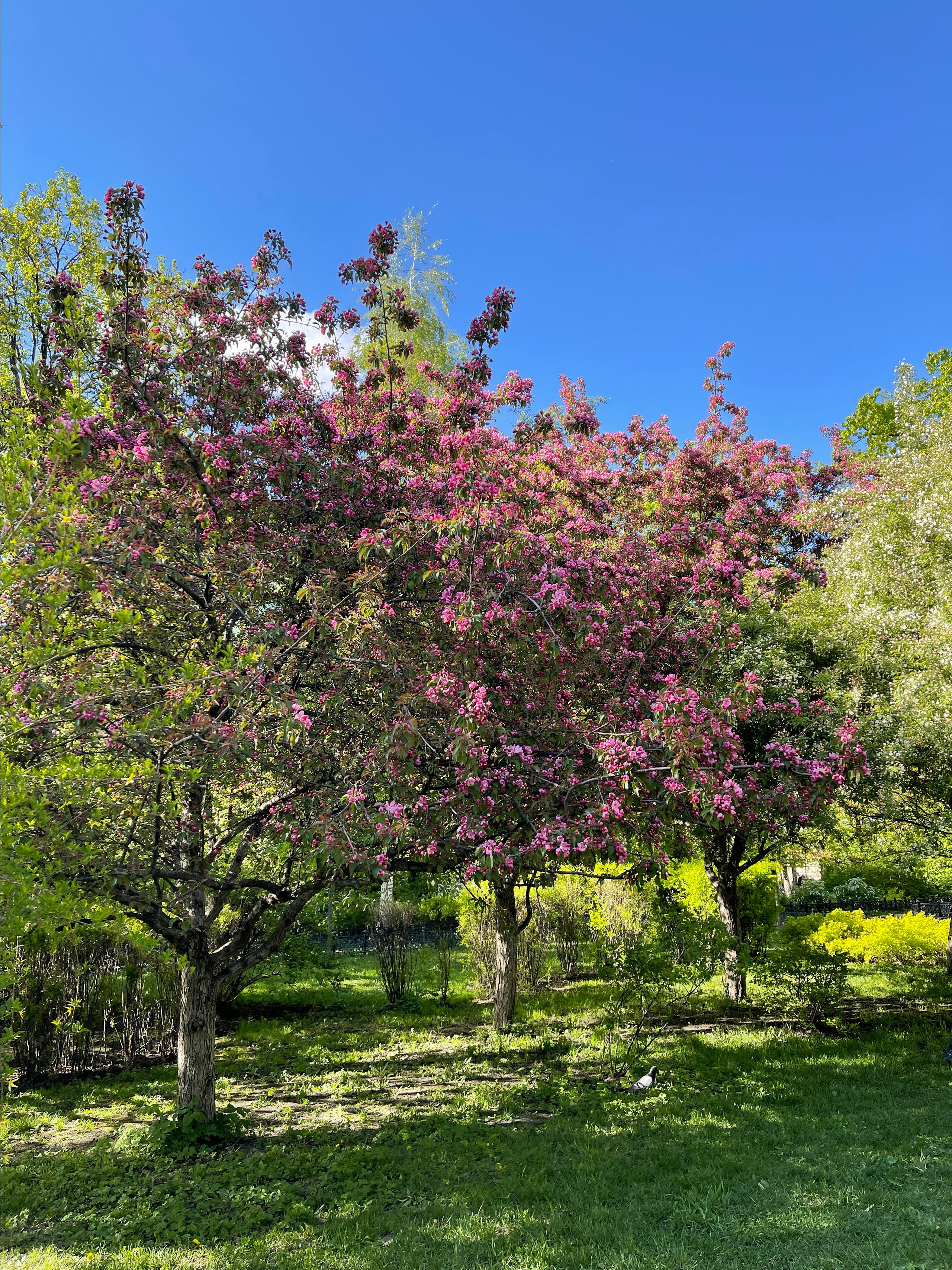Адреса локаций. Женский и семейный фотограф Светлана