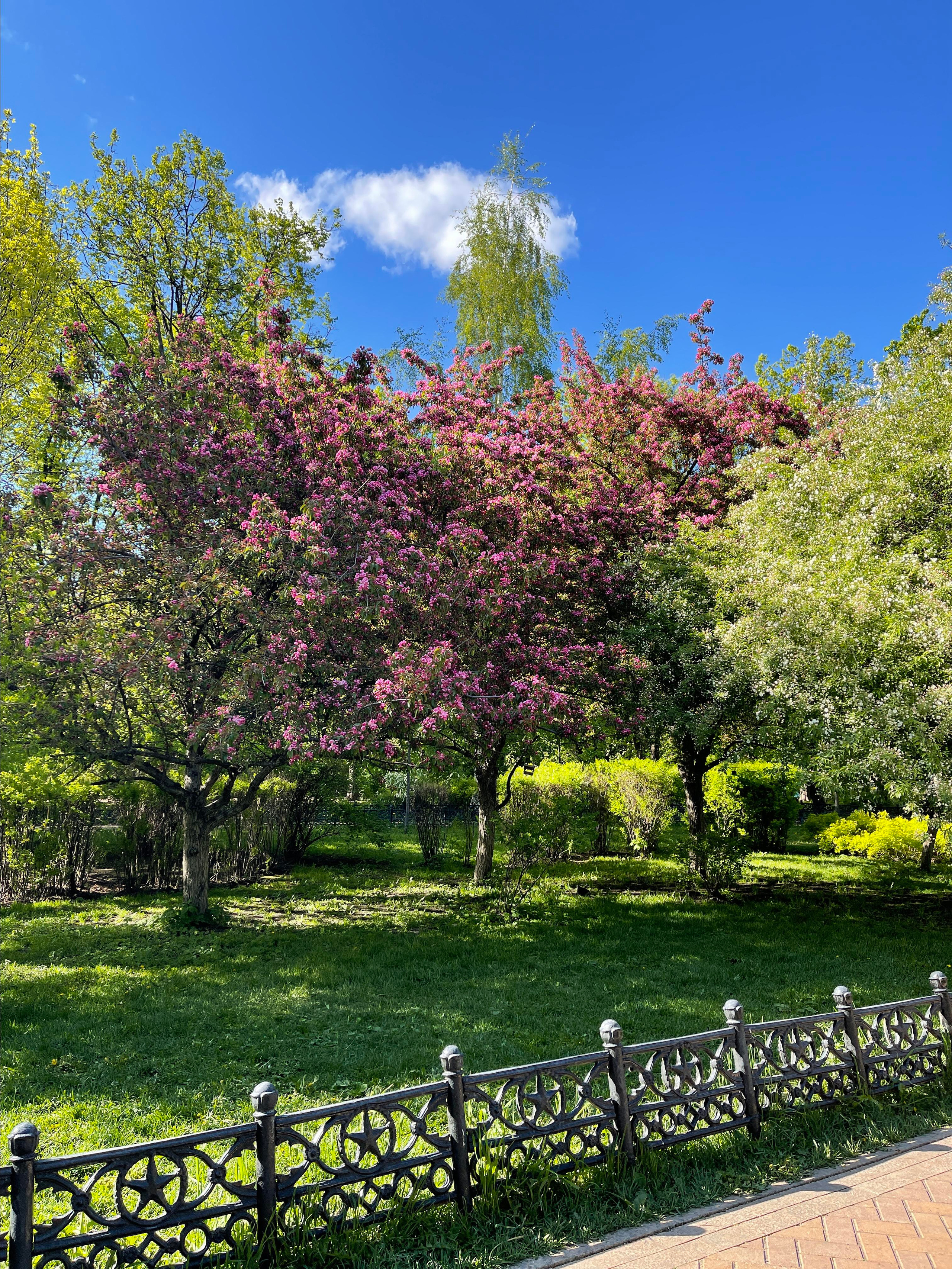 Адреса локаций. Женский и семейный фотограф Светлана