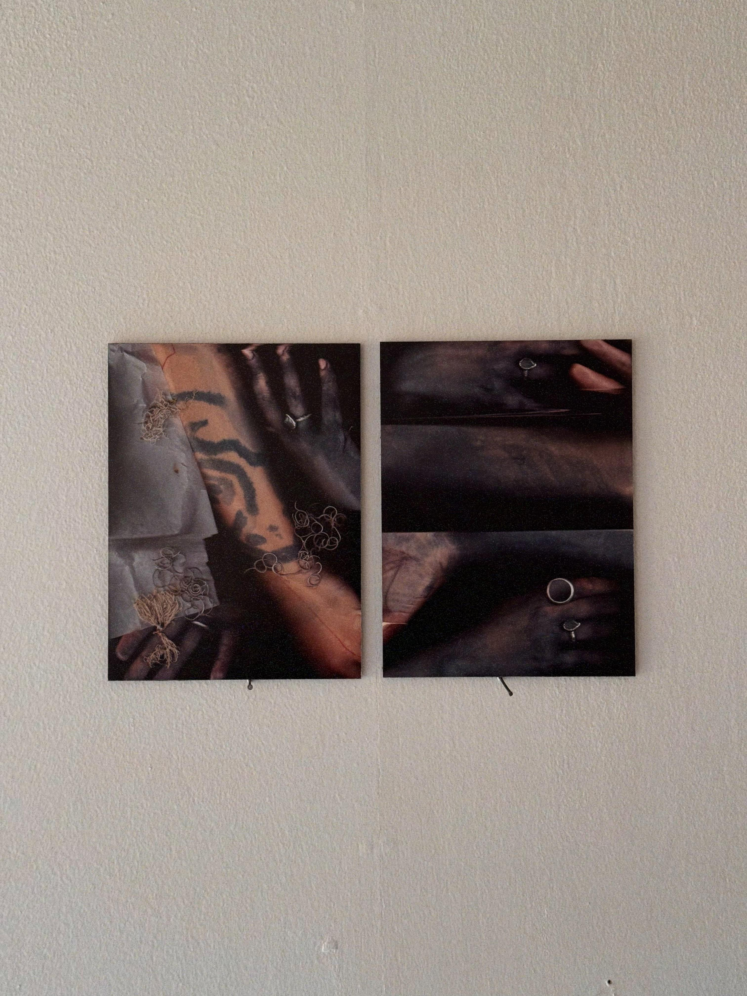 SEDIMENTS AND FOSSILS. Xexexena.ru