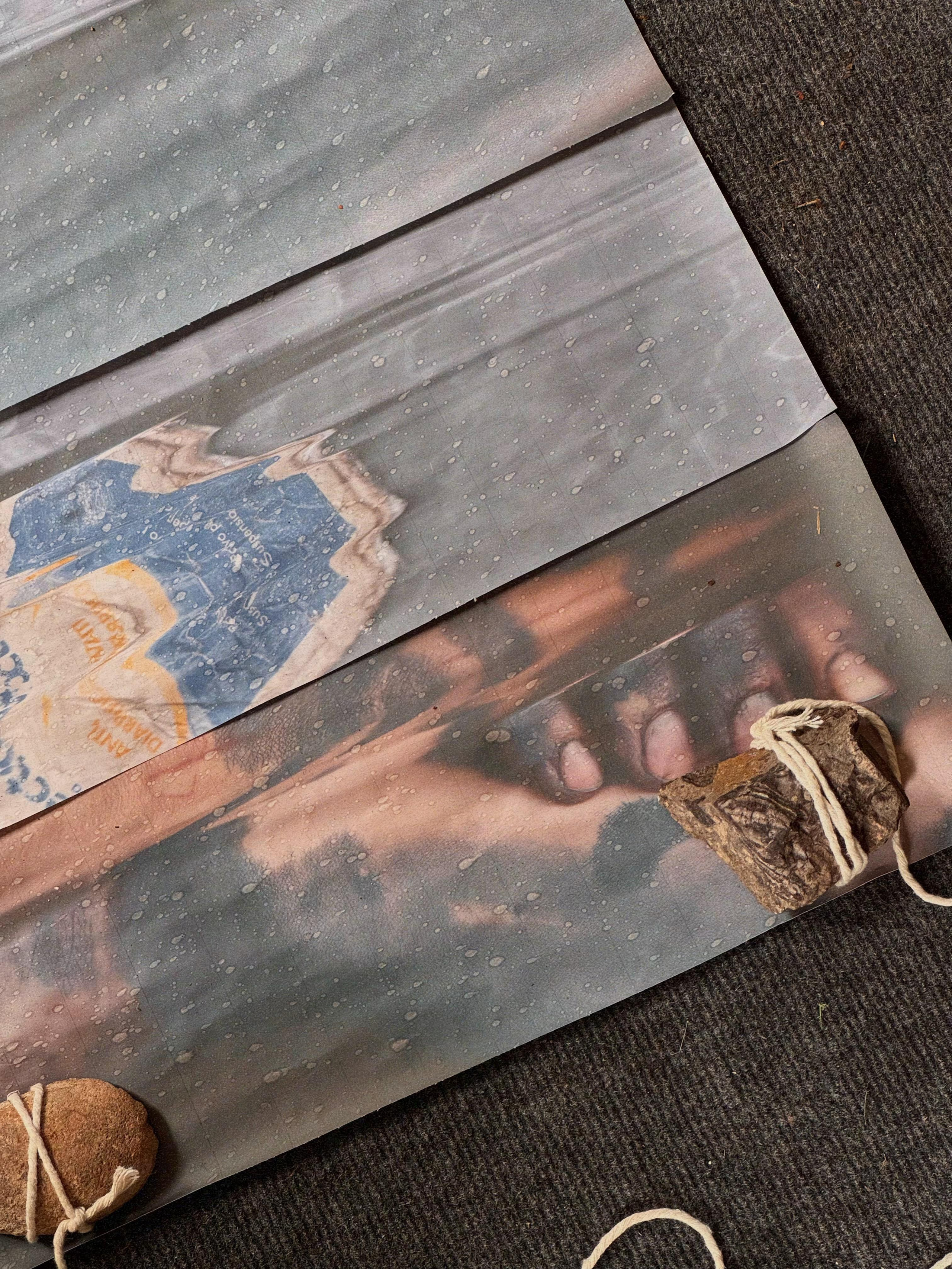 SEDIMENTS AND FOSSILS. Xexexena.ru