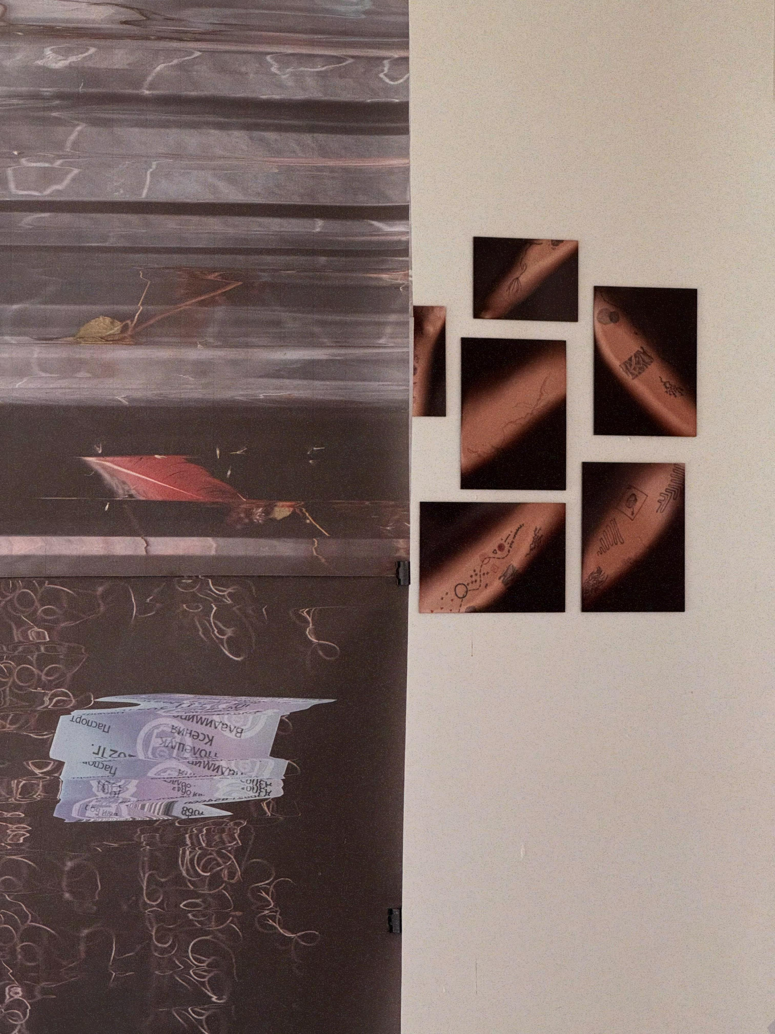 SEDIMENTS AND FOSSILS. Xexexena.ru