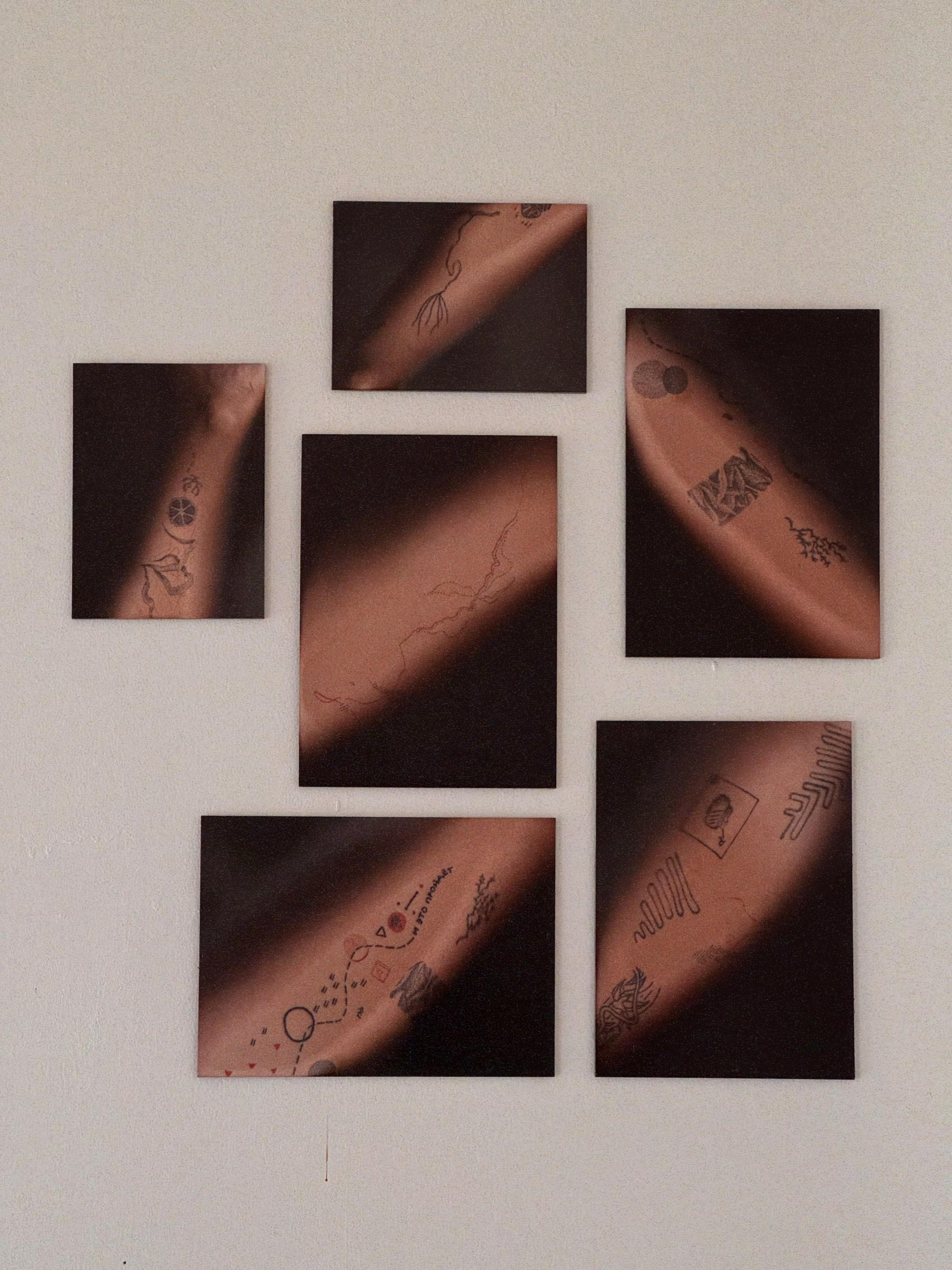 SEDIMENTS AND FOSSILS. Xexexena.ru