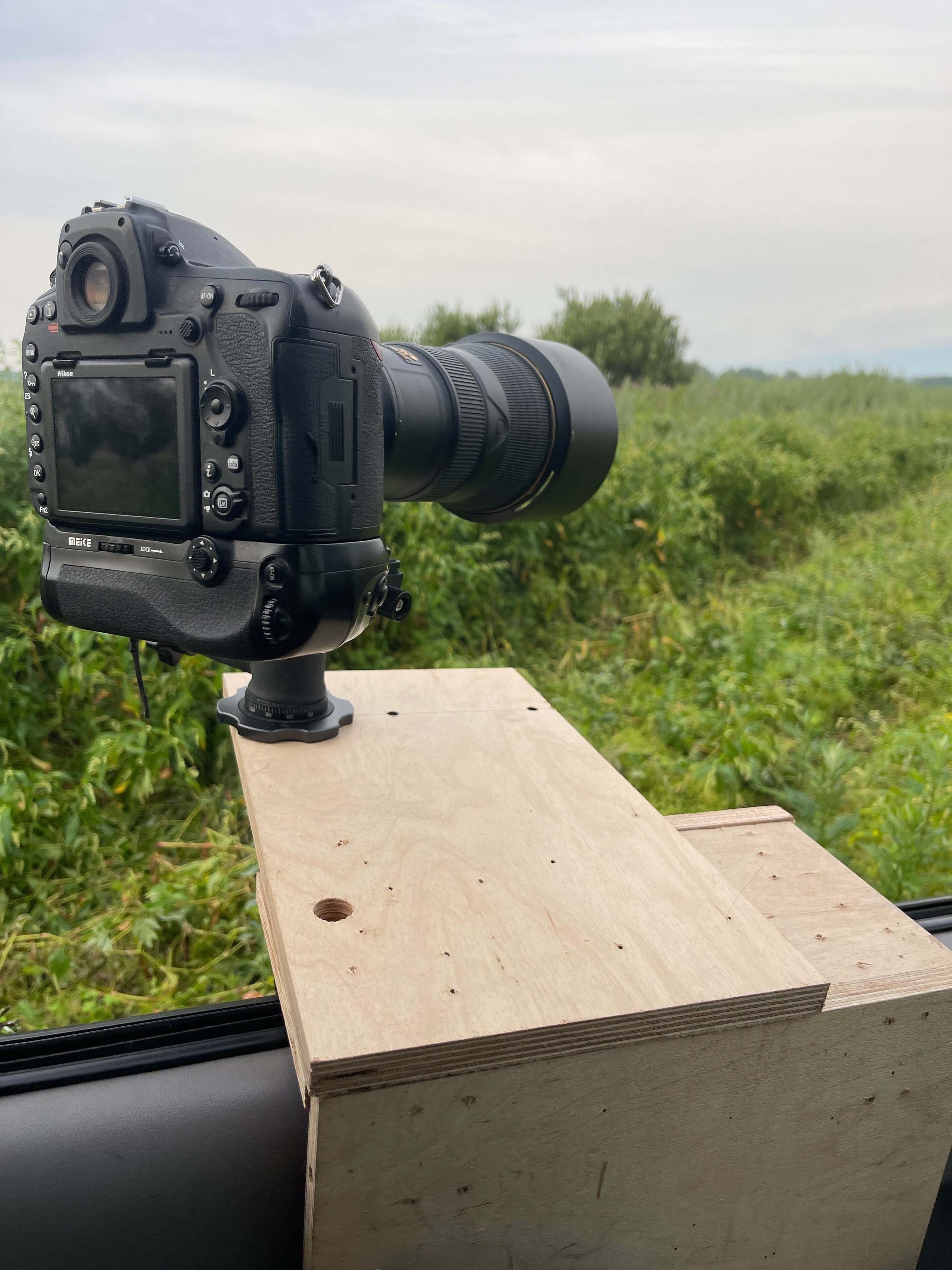 Совята и тест фотоштатива на дверь авто. Owlets and Test of DIY Window Mount. Фотограф Сергей Пупонин