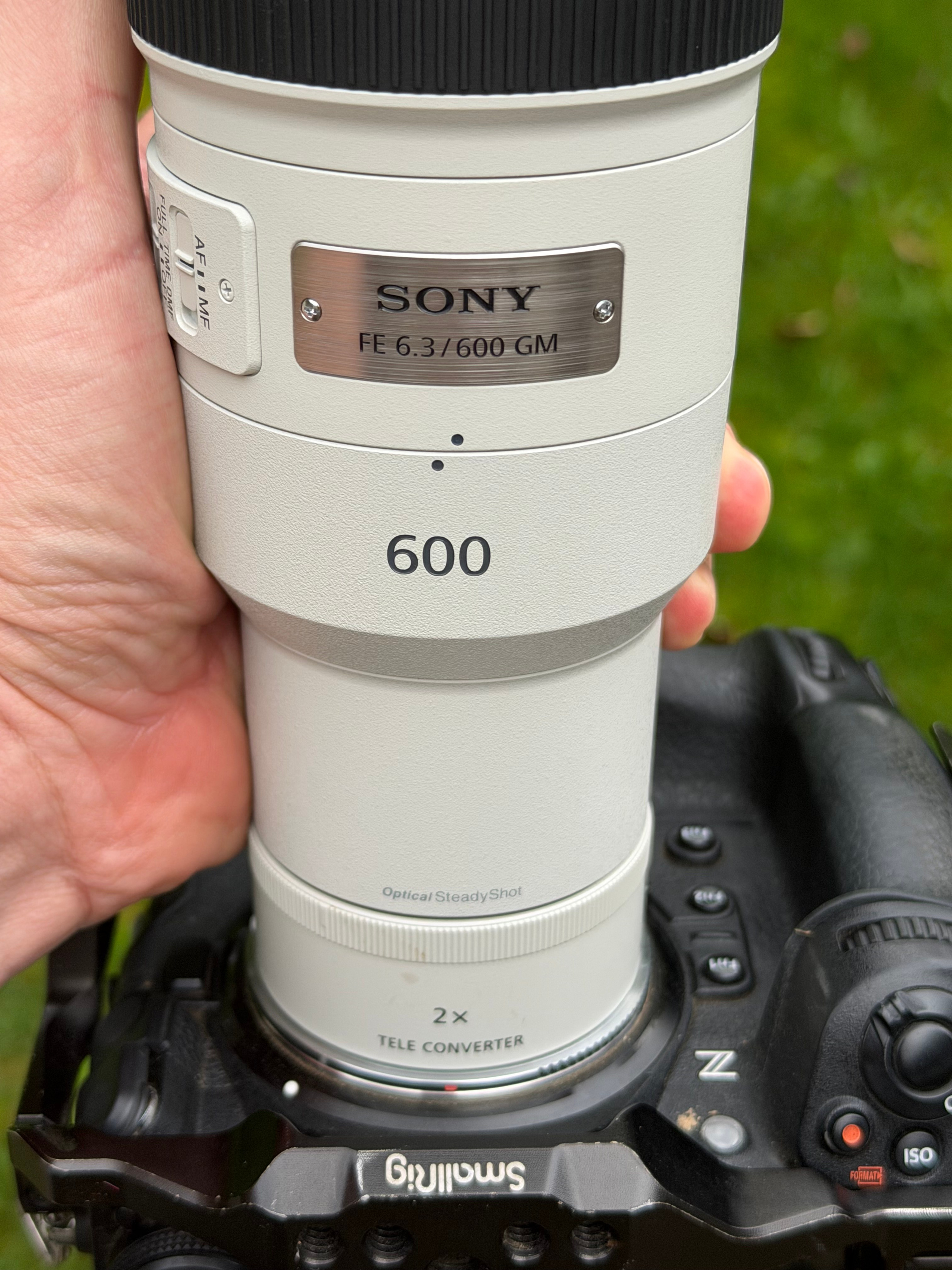Полевое тестирование Sony 600 mm F/6.3 GM OSS. День второй. 2TC = 1200 mm!. Фотограф Сергей Пупонин
