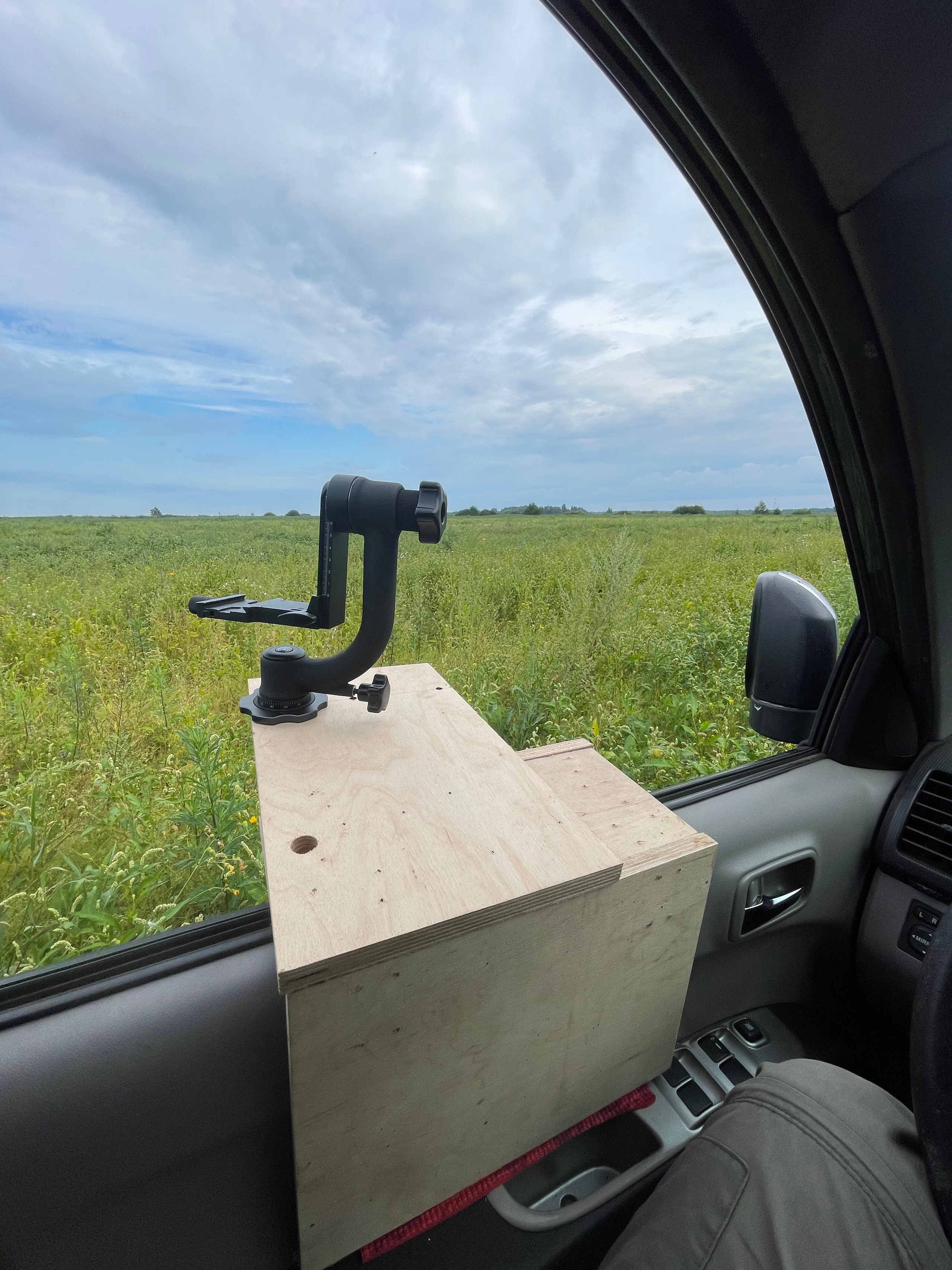 Совята и тест фотоштатива на дверь авто. Owlets and Test of DIY Window Mount. Фотограф Сергей Пупонин