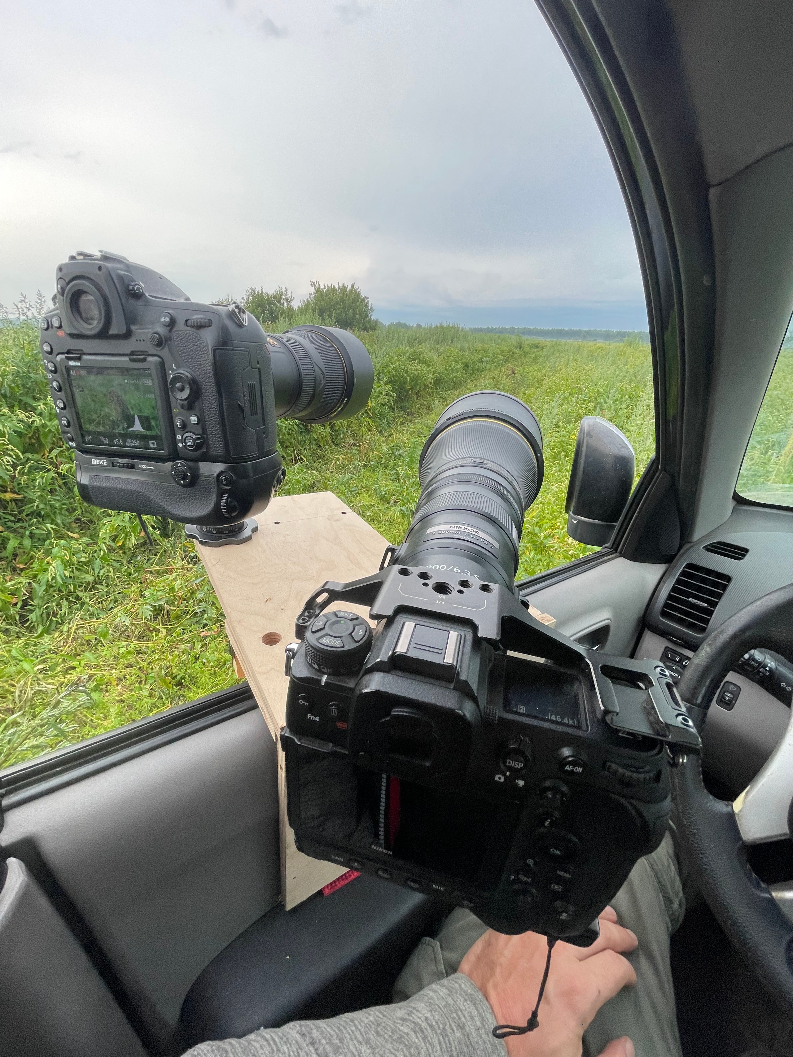 Совята и тест фотоштатива на дверь авто. Owlets and Test of DIY Window Mount. Фотограф Сергей Пупонин
