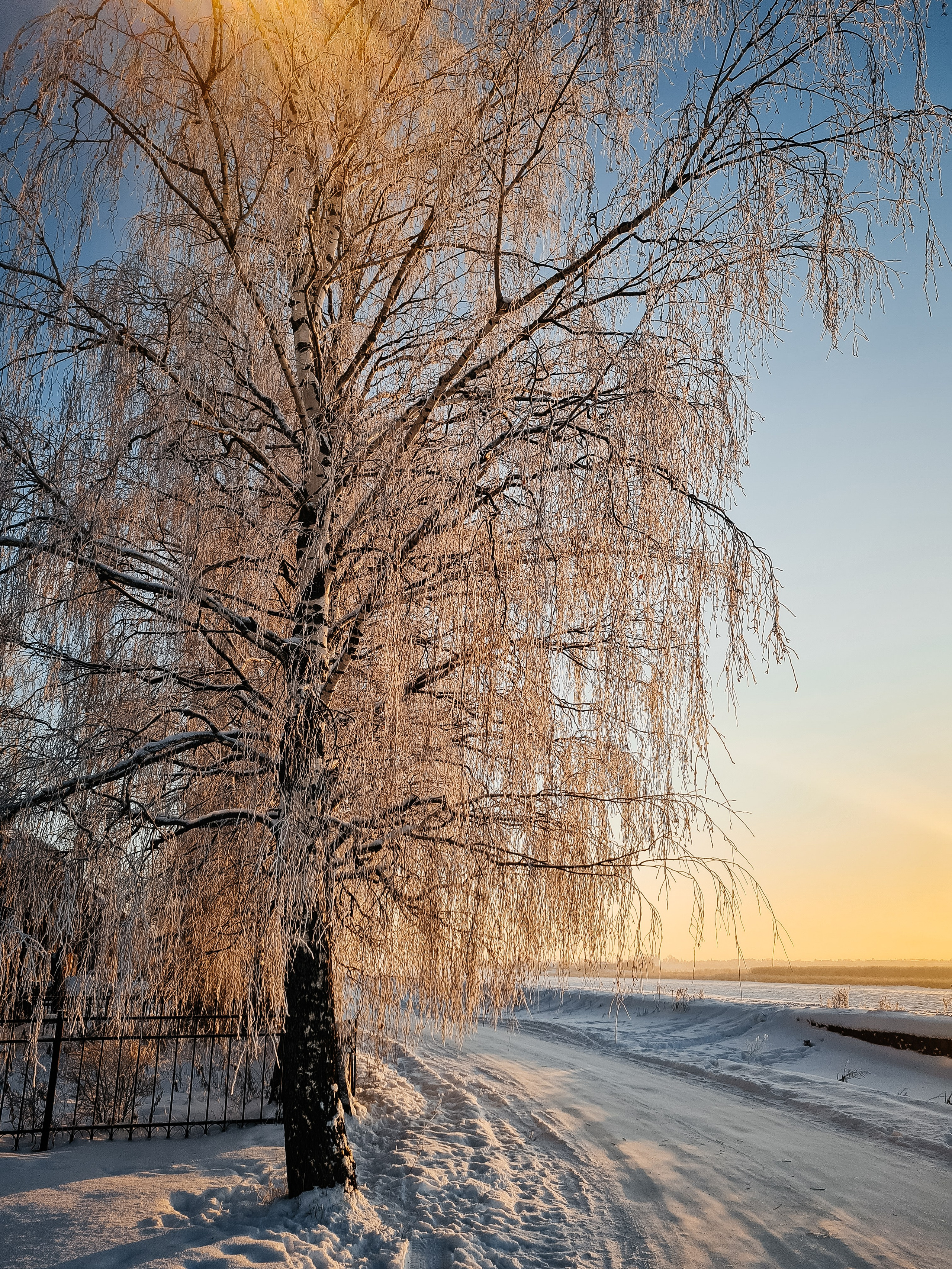 зимний Великий Устюг