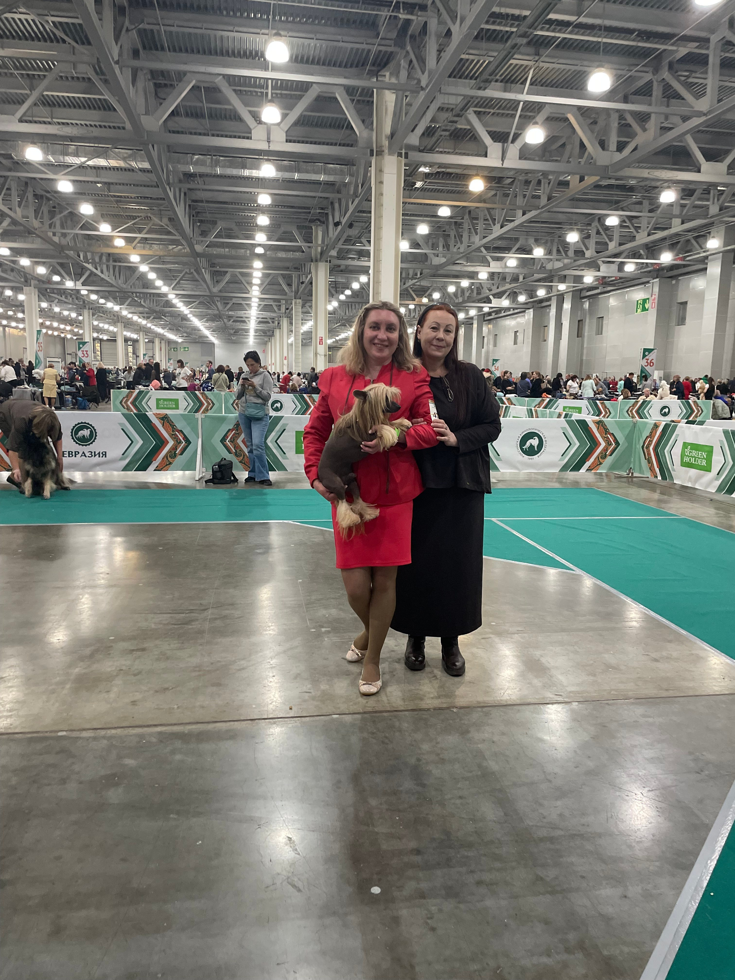 Выставка собак г. Москва. «ЕВРАЗИЯ. Кубок Президента РКФ 2024». Питомник китайских хохлатых собак Poale Ell: купить щенка в питомнике