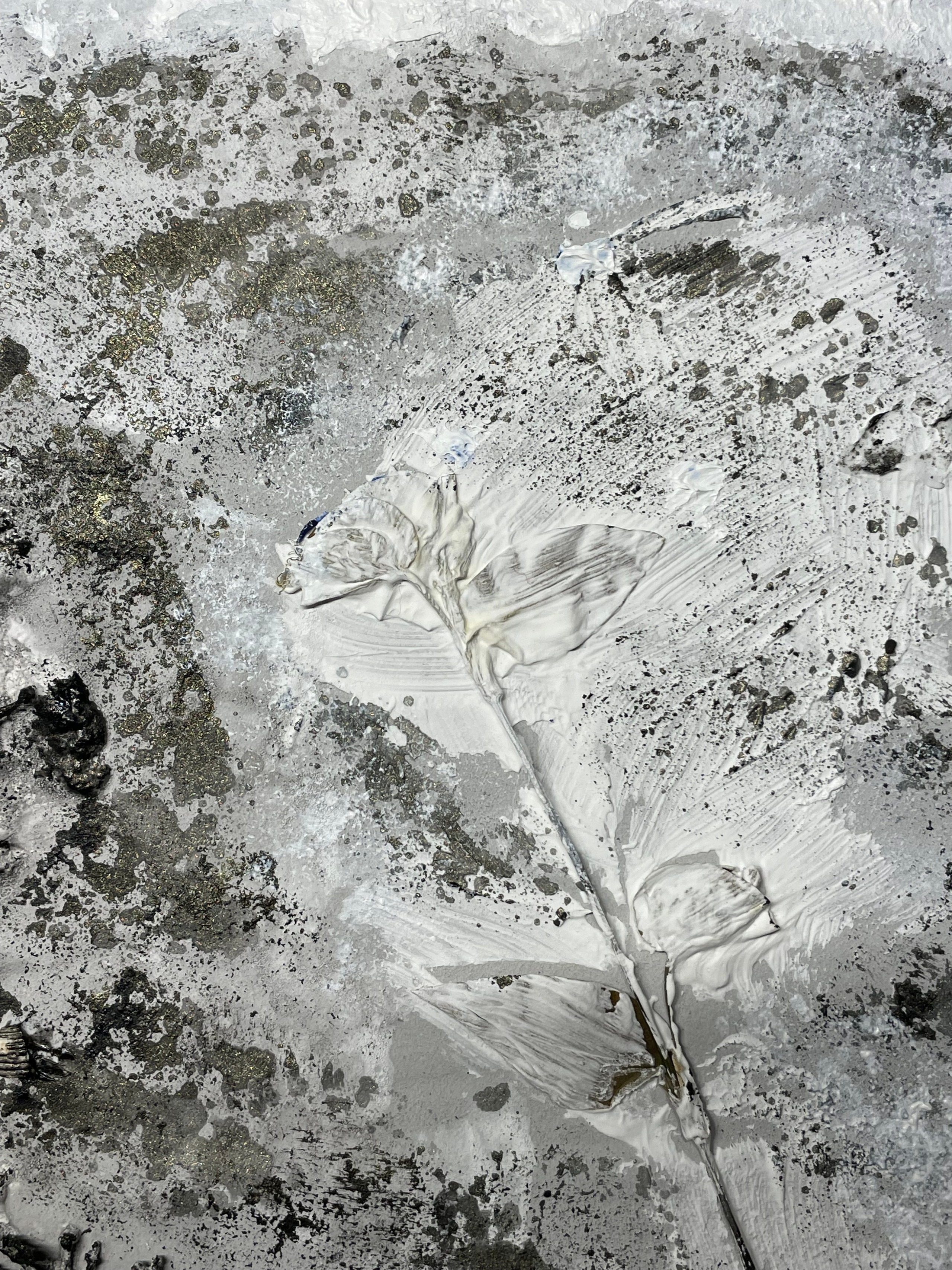 The drawings, the series. Visual artist, photographer Liana Darenskaya, Moscow