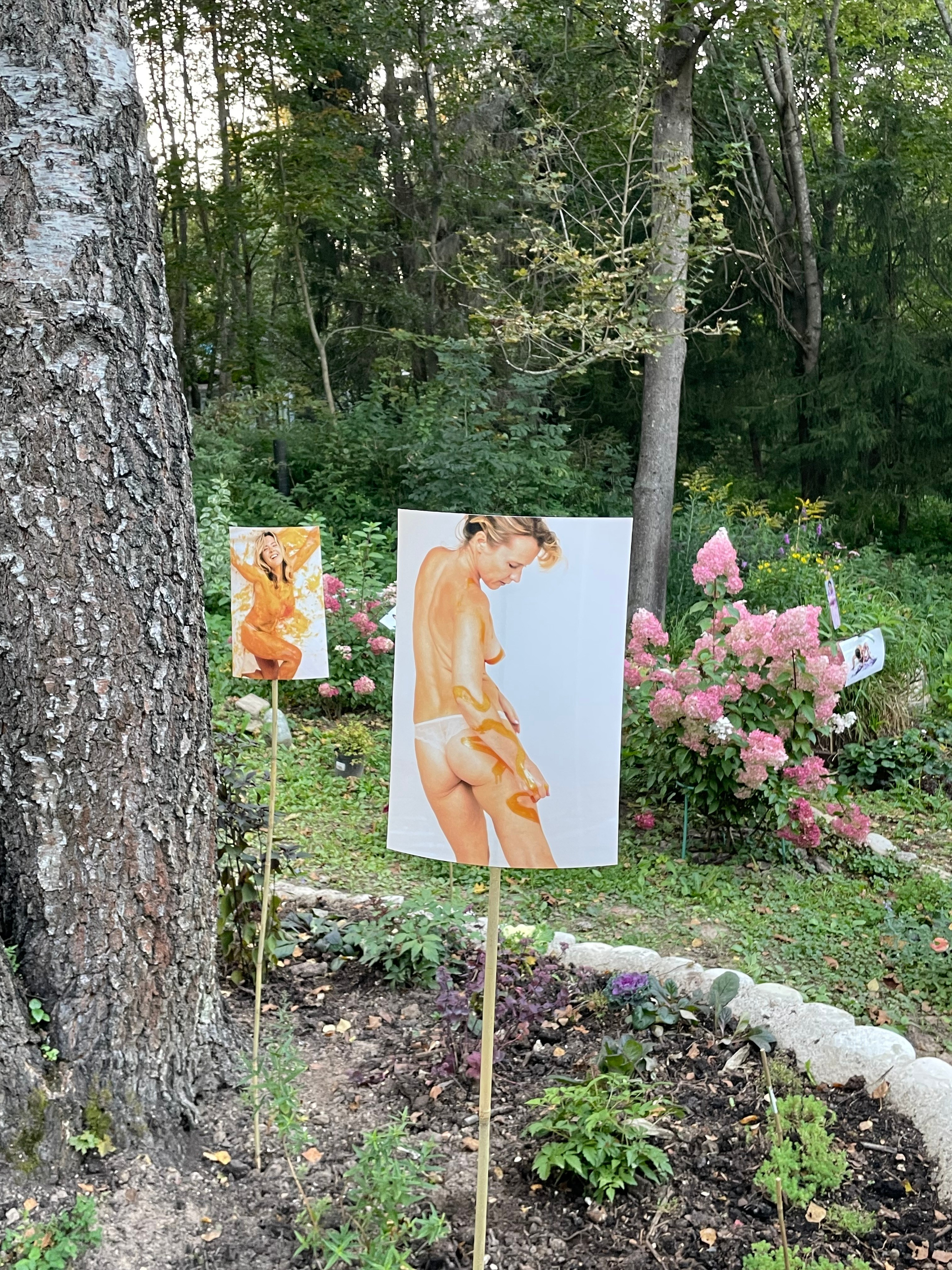 Персональные выставки. Visual artist, photographer Liana Darenskaya, Moscow