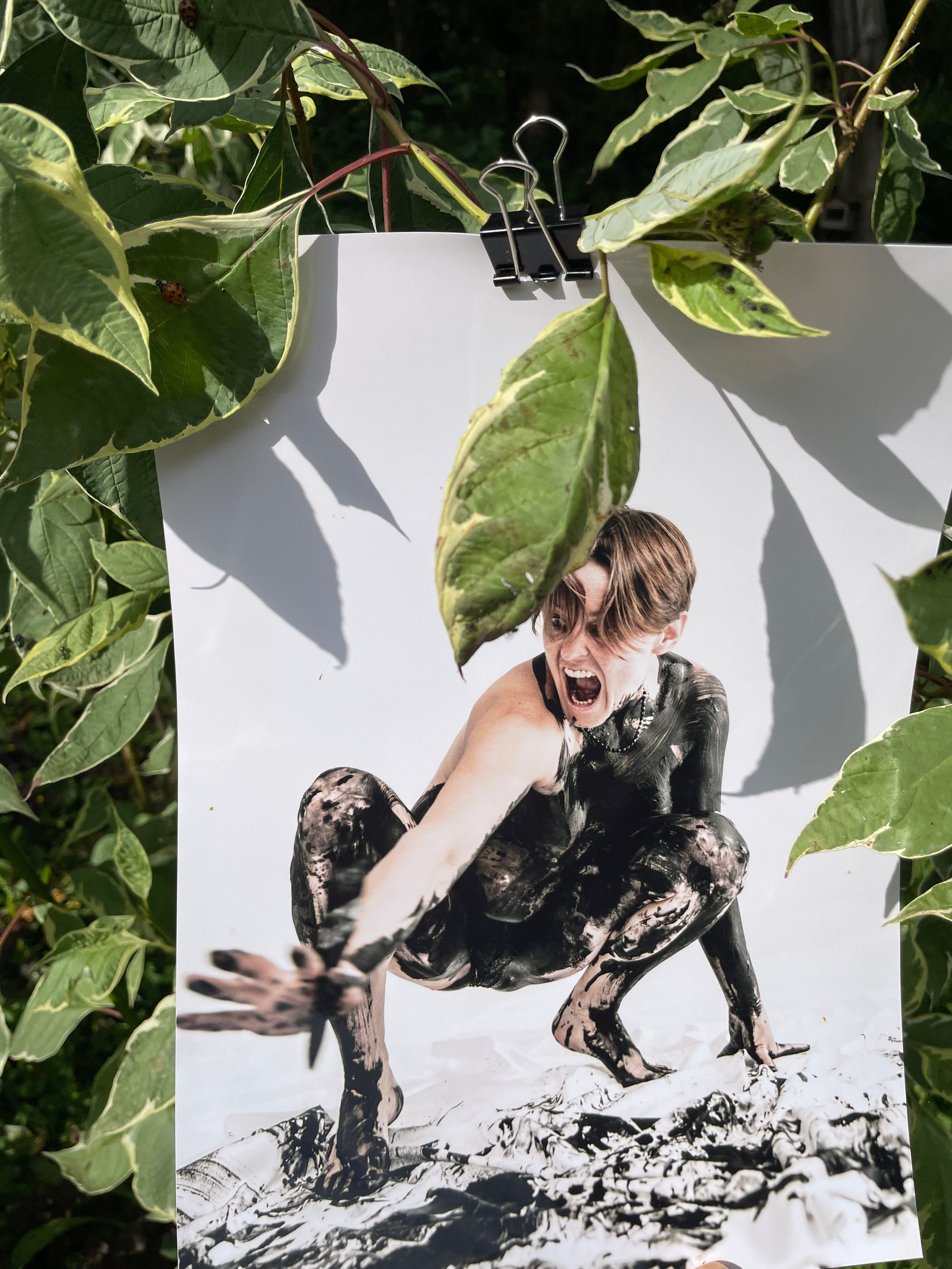 Персональные выставки. Visual artist, photographer Liana Darenskaya, Moscow