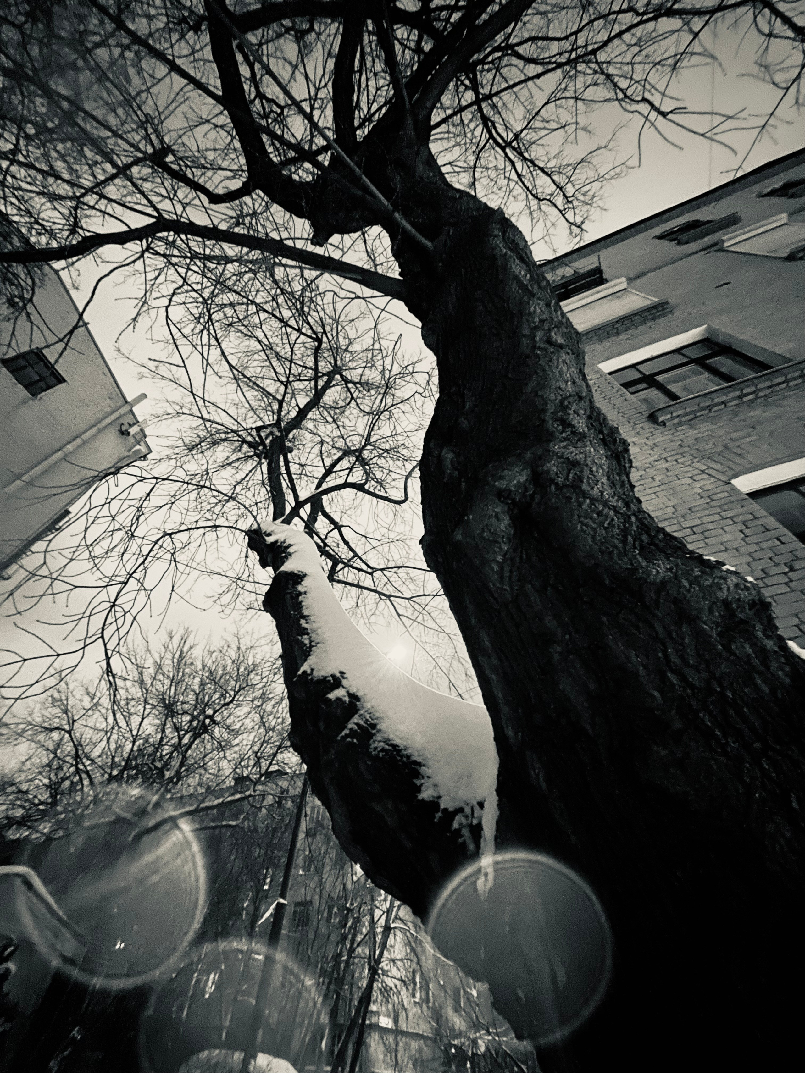 Геометрия Города. Визуальный художник Лиана Даренская, Москва