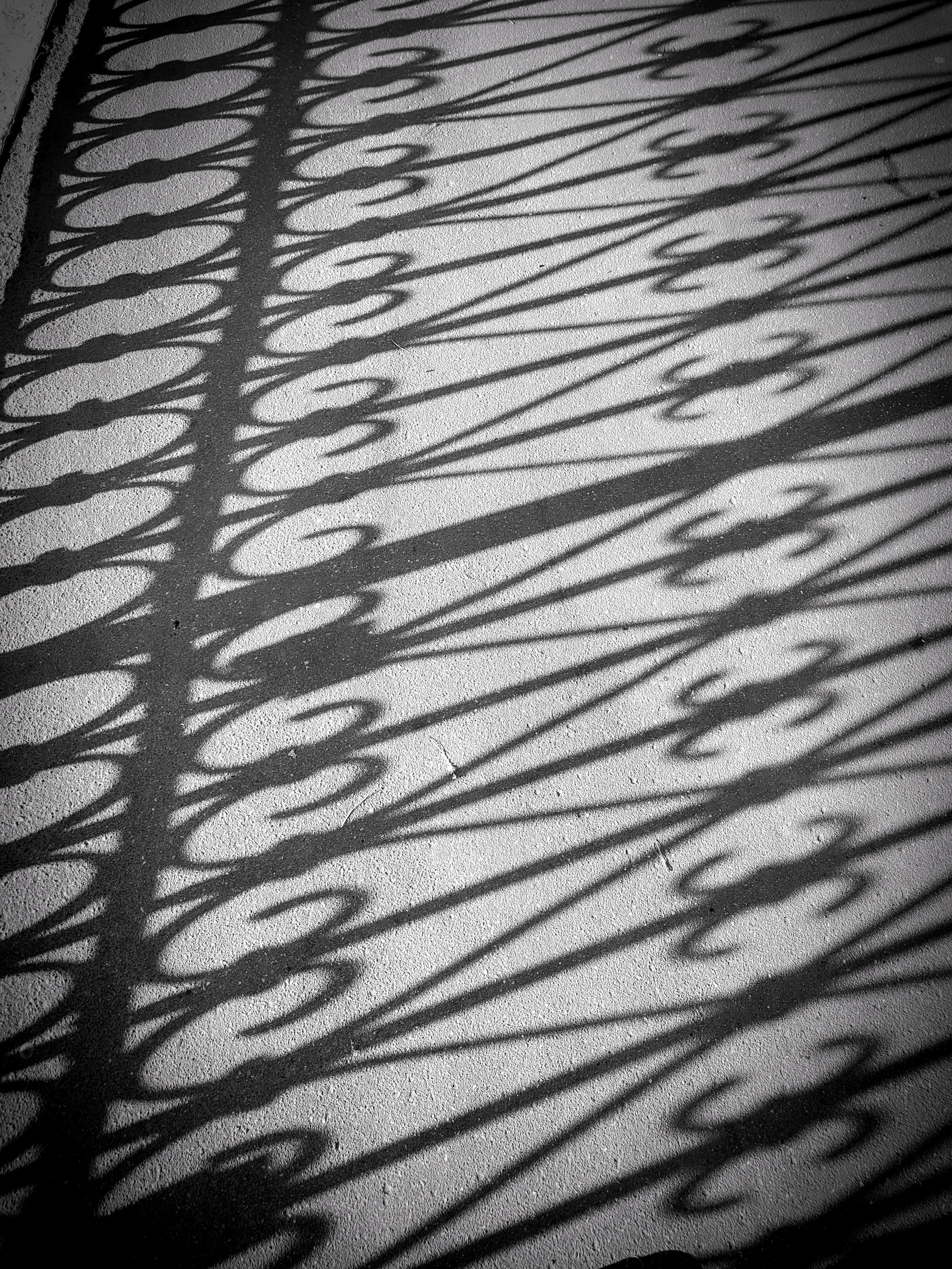 Россия. Москва. Walk & Fly with Batay