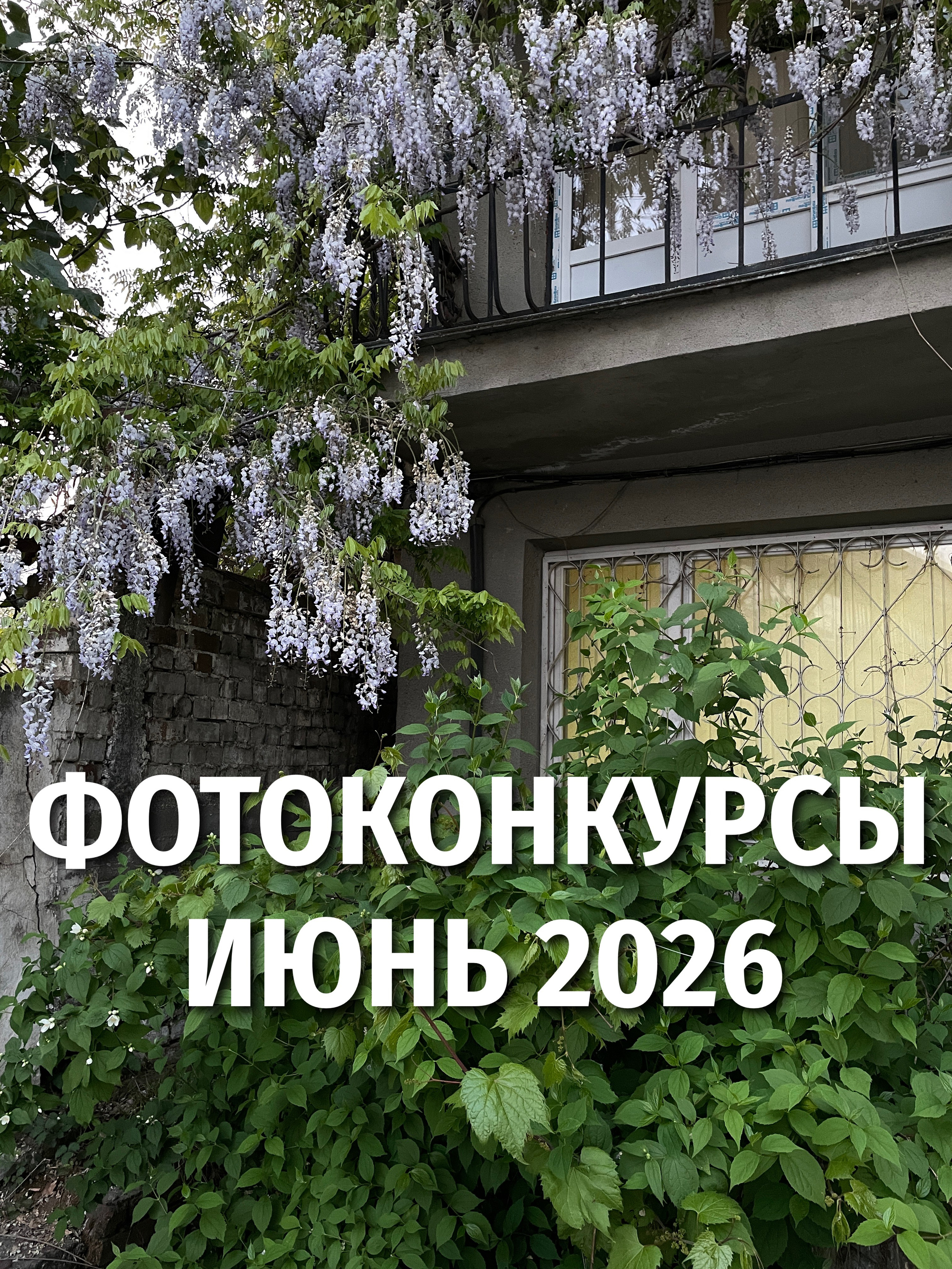 Самый полный список фотоконкурсов июня 2026 на русском языке для фотографов