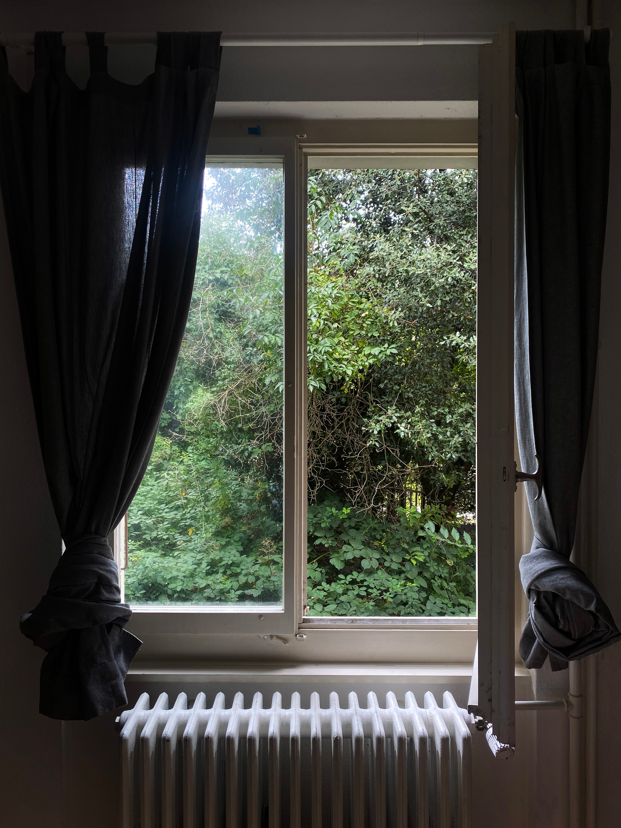 Start of the work within the residency program in Switzerland