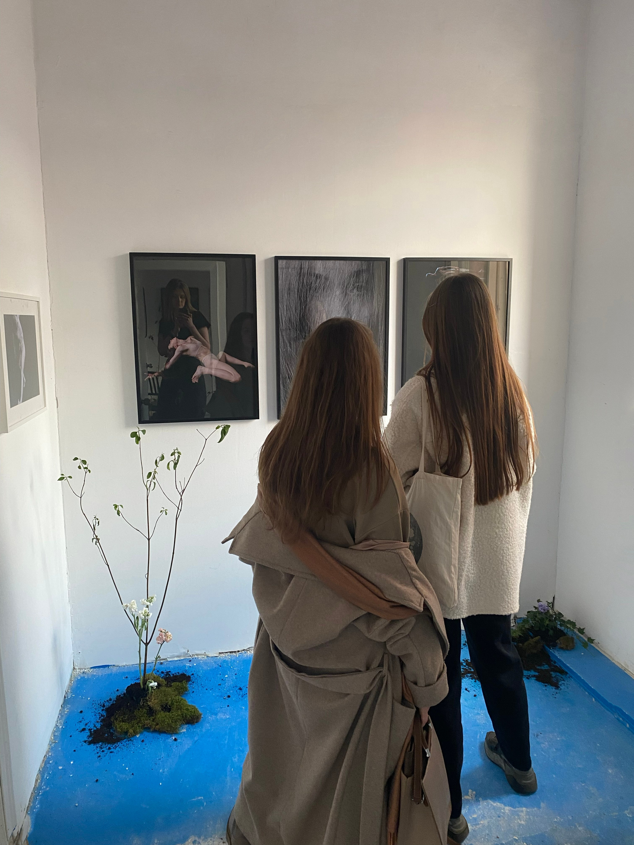 My installation. Smirnovatais