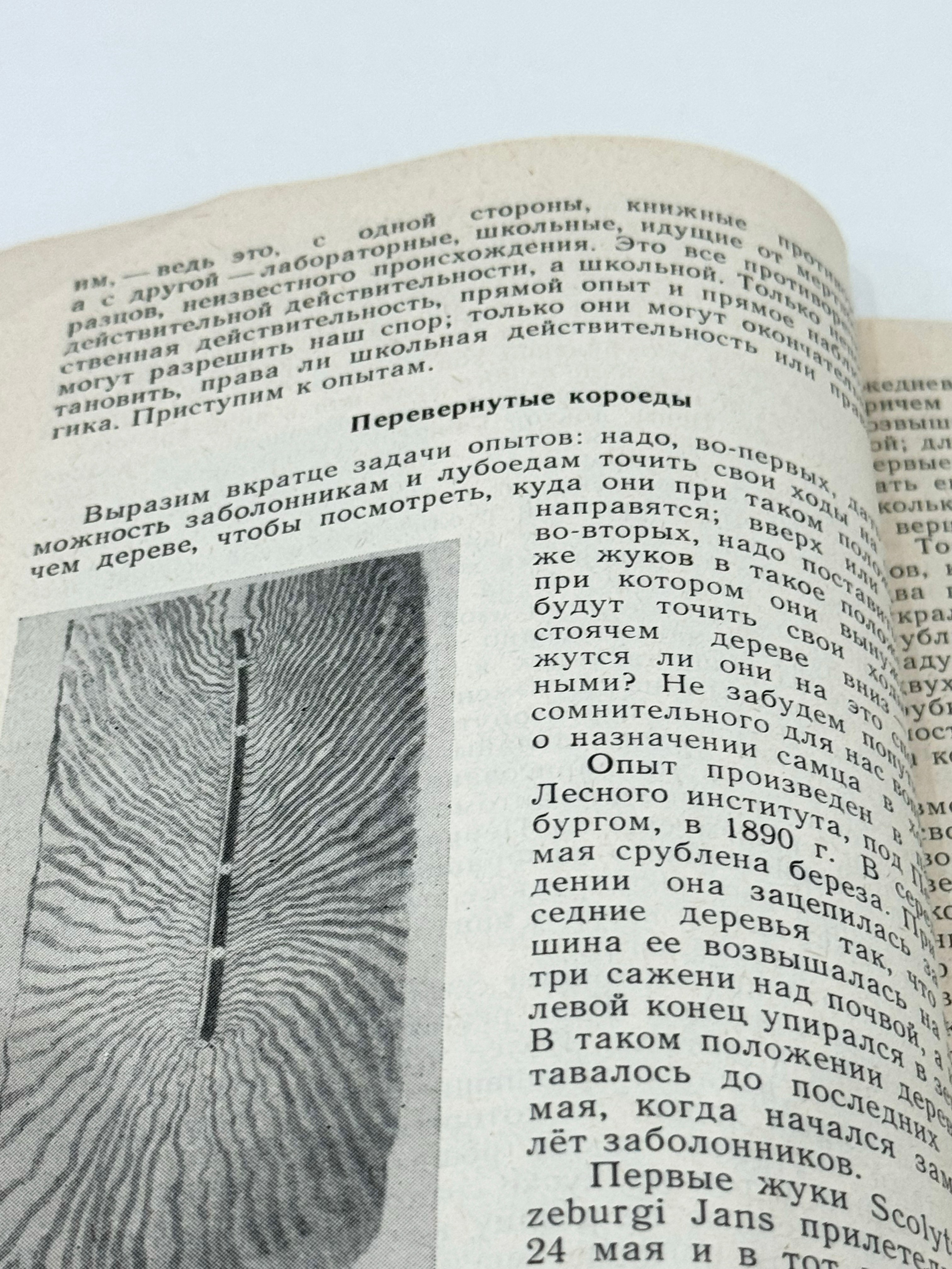 Зеленый остров. KRUS group