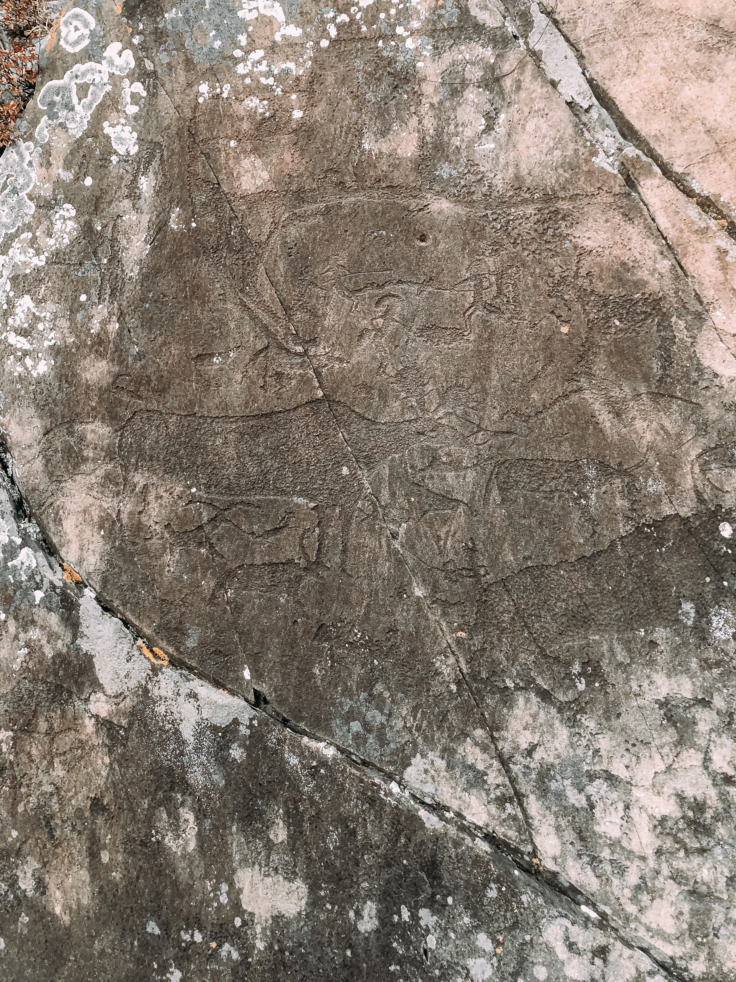 Майский тур. Новый уровень ваших путешествий по Алтаю