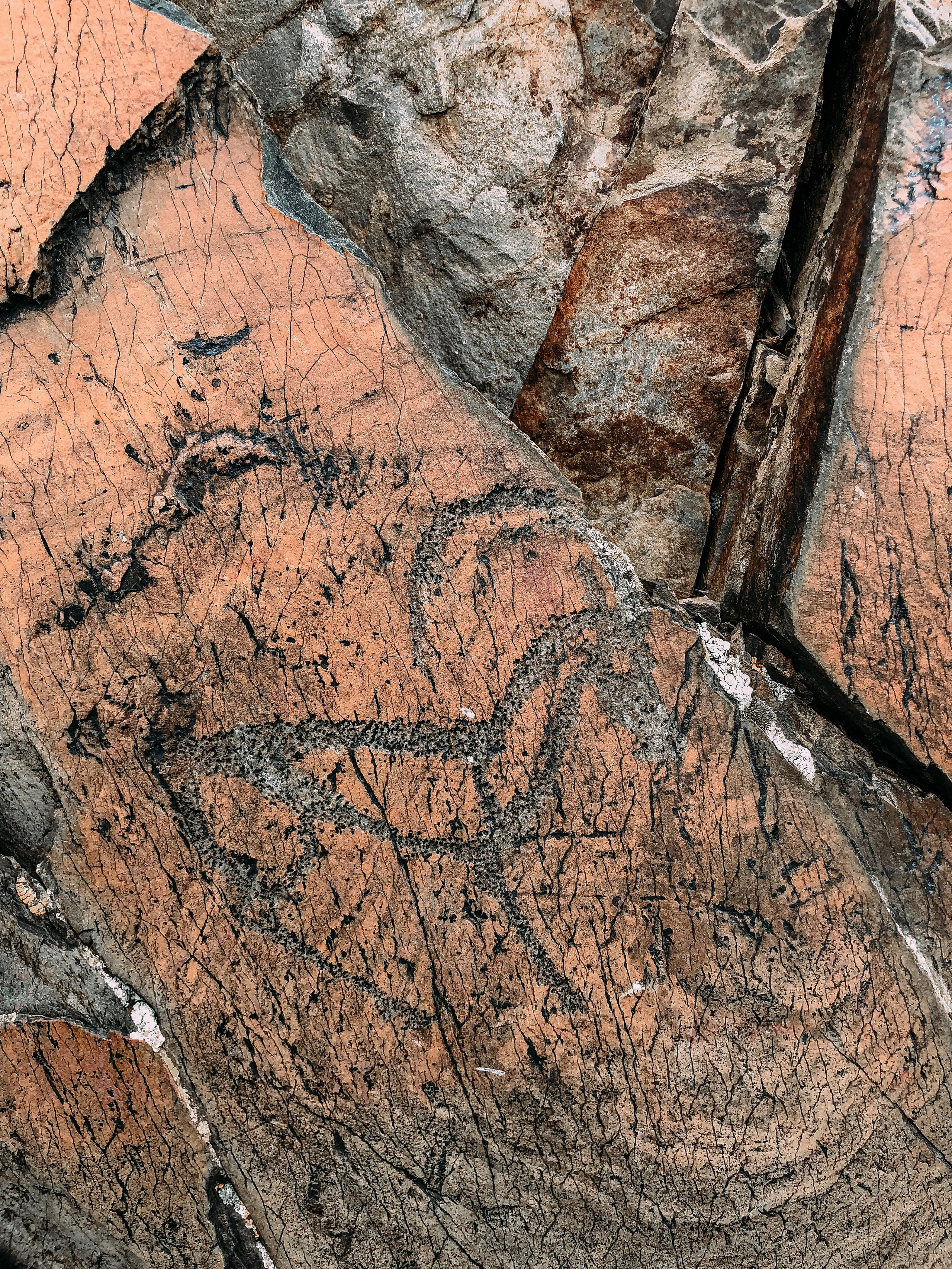 Майский тур. Новый уровень ваших путешествий по Алтаю