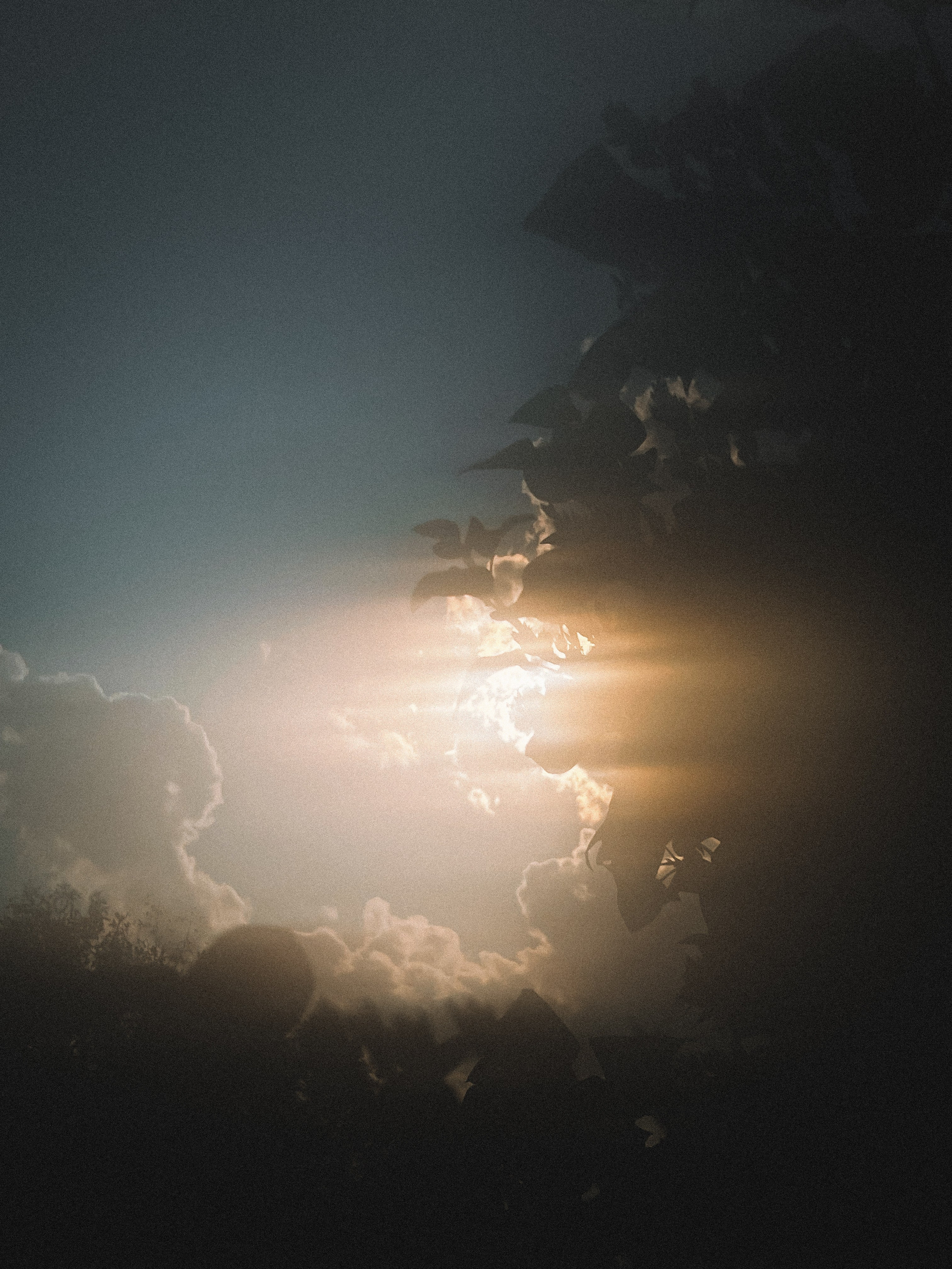 Обучение (1). Фотограф Анастасия Дмитриева