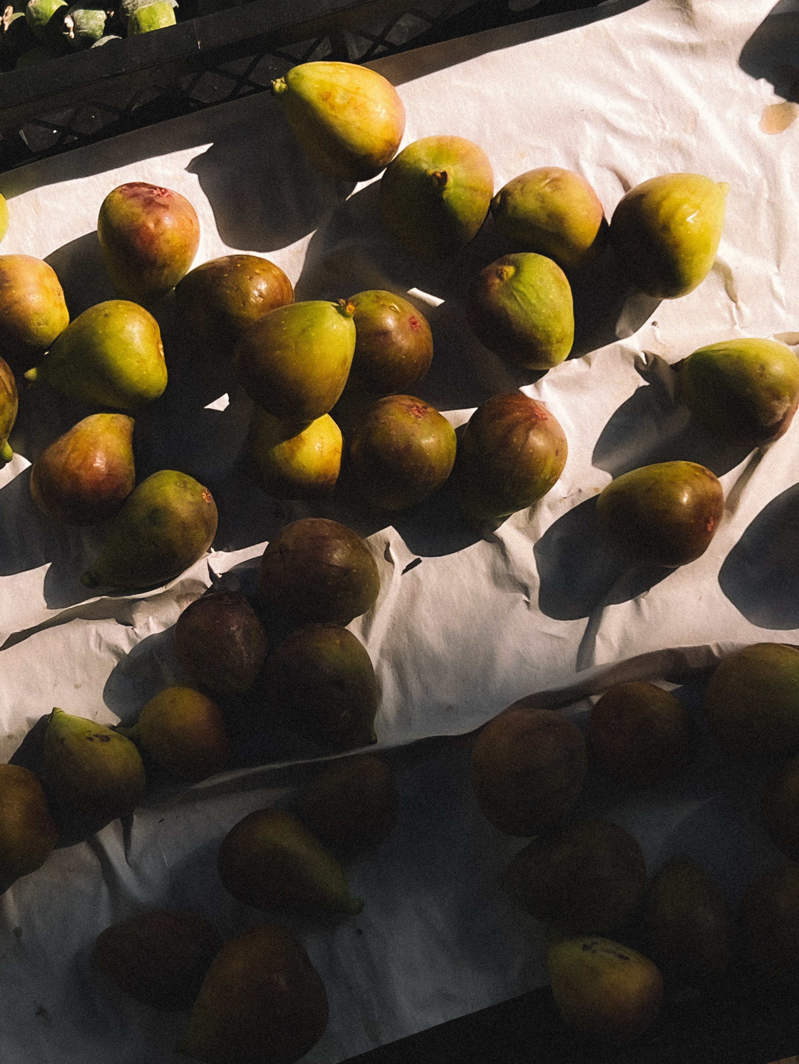 Обучение (1). Фотограф Анастасия Дмитриева