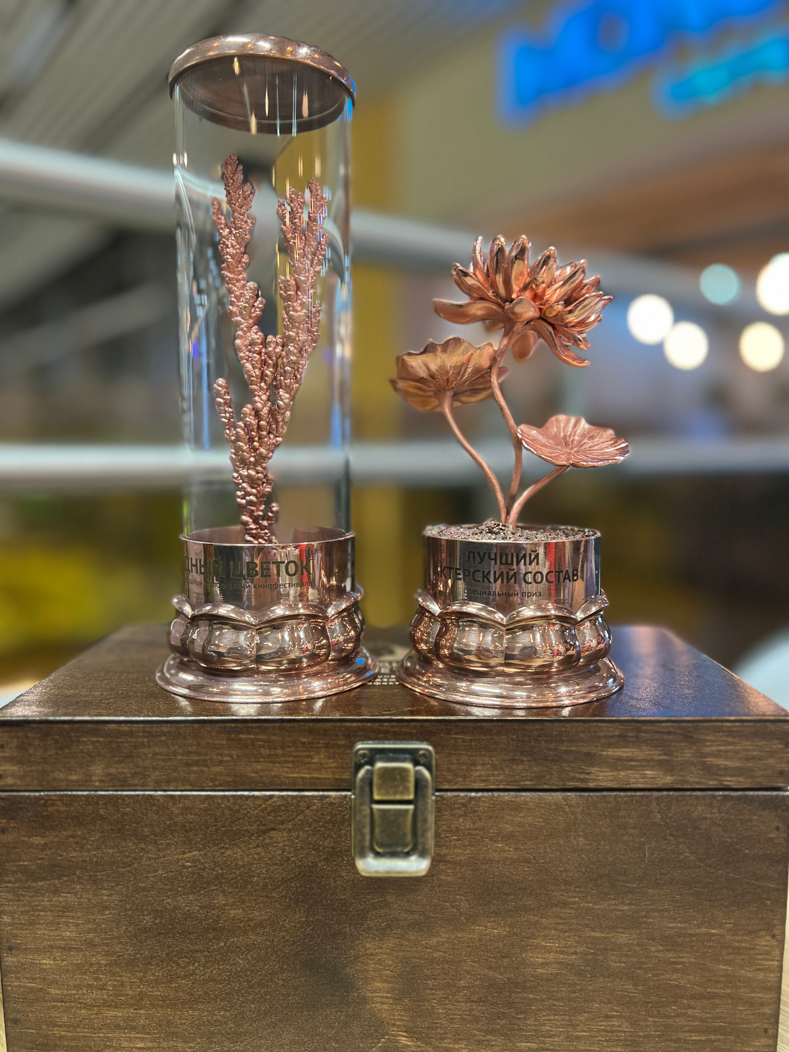 Награды. Актриса Таисия Котова