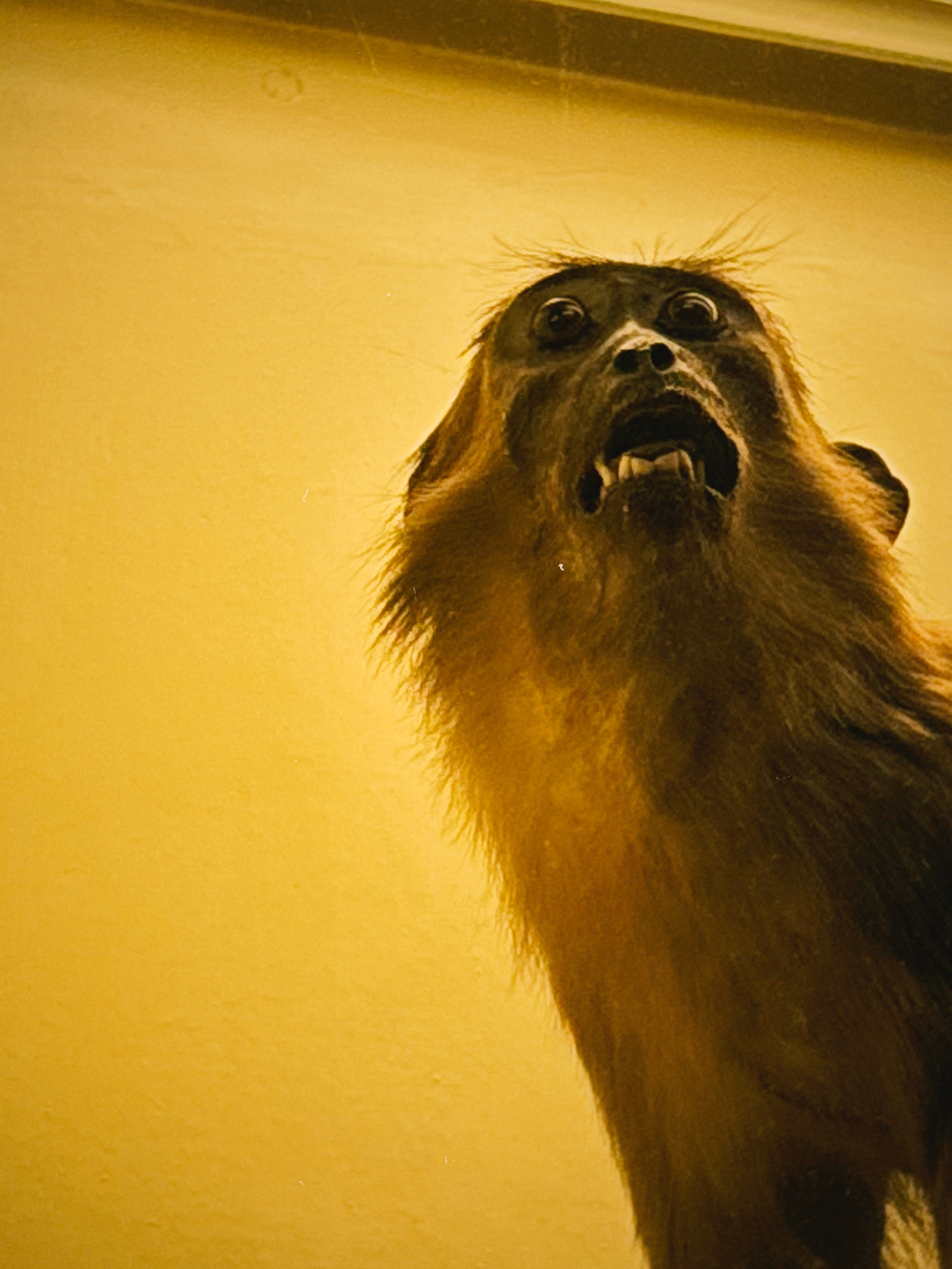 Фотосессия в Санкт-Петербурге зимой: куда пойти и где согреться