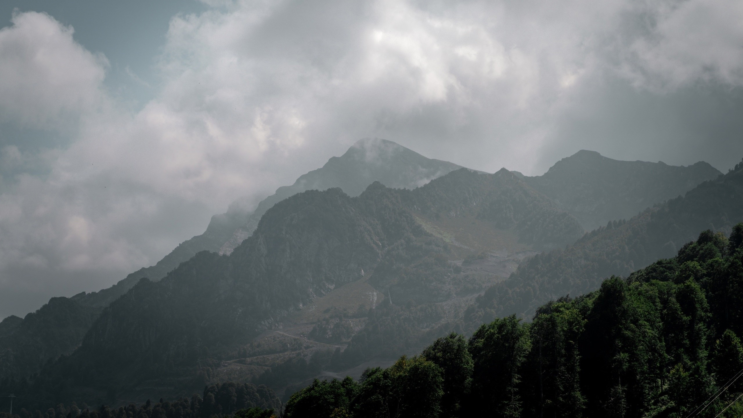Портфолио. Фотограф Александра Волкова | Волгоград