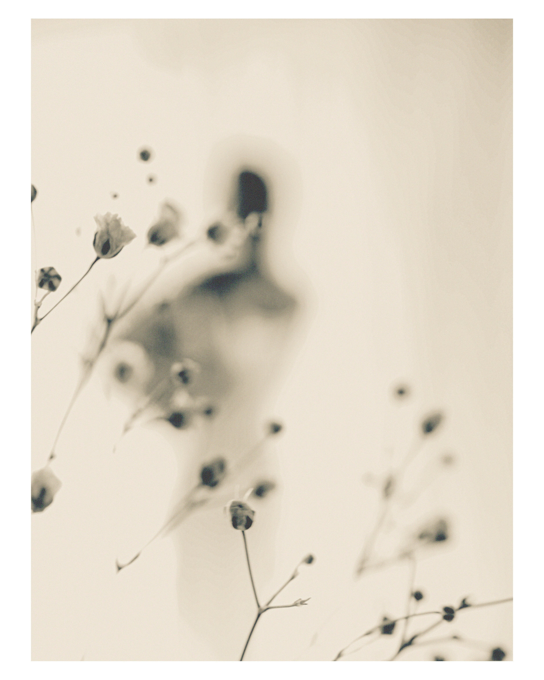 Фото художник Ольга Ред. Фото картины для интерьера. Серия "Лиана". Печать на холсте. Доставка по миру.