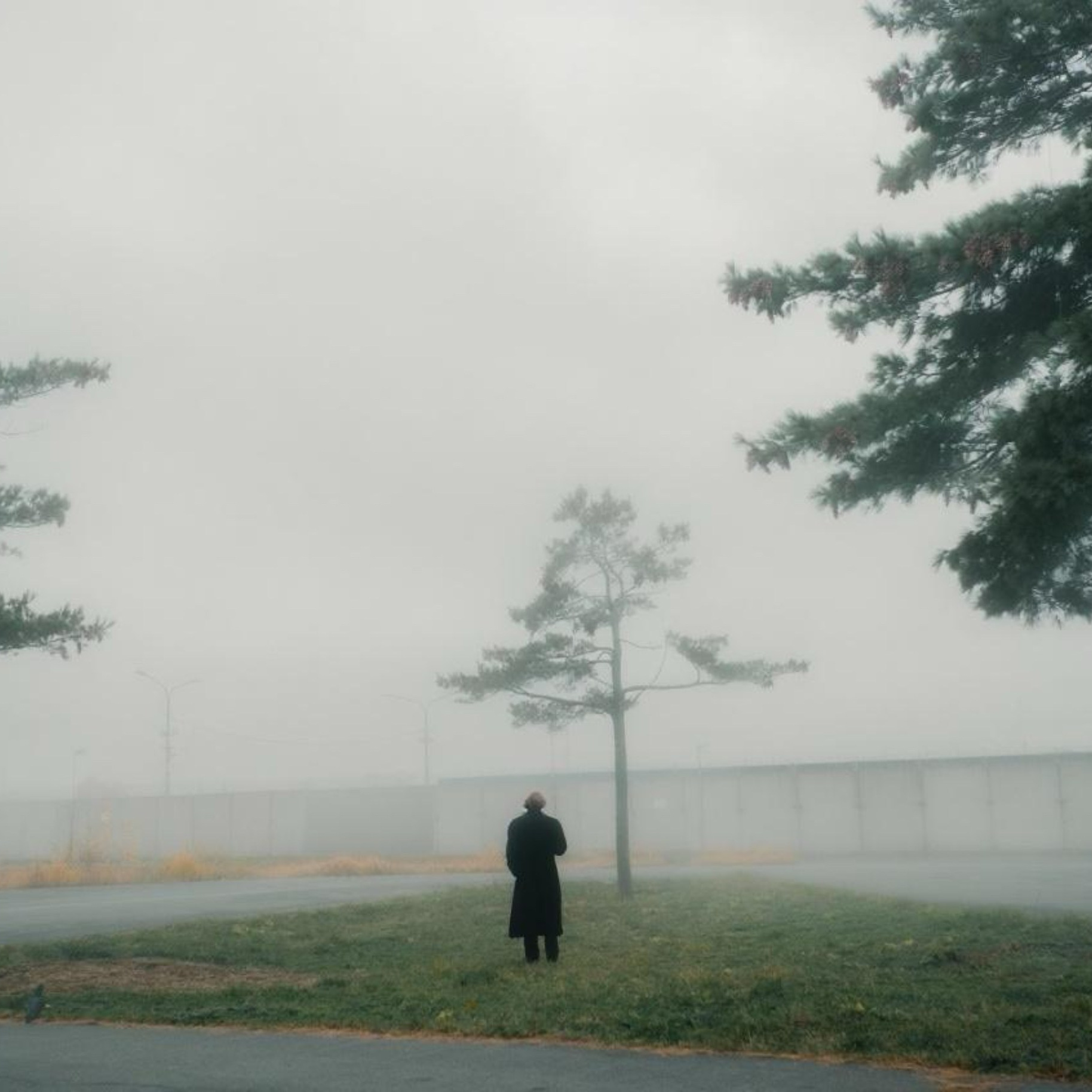 Очень обворожительная девушка ждет своего часа, начала Истории