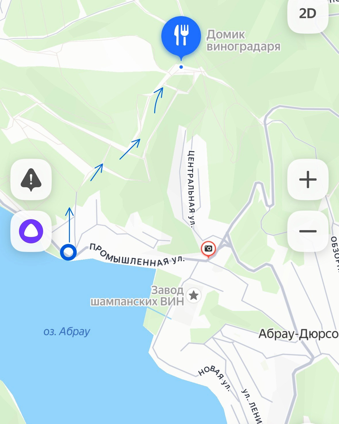 Локация для фотосессии Абрау-Дюрсо виноградники море закат фотограф Абрау-Дюрсо