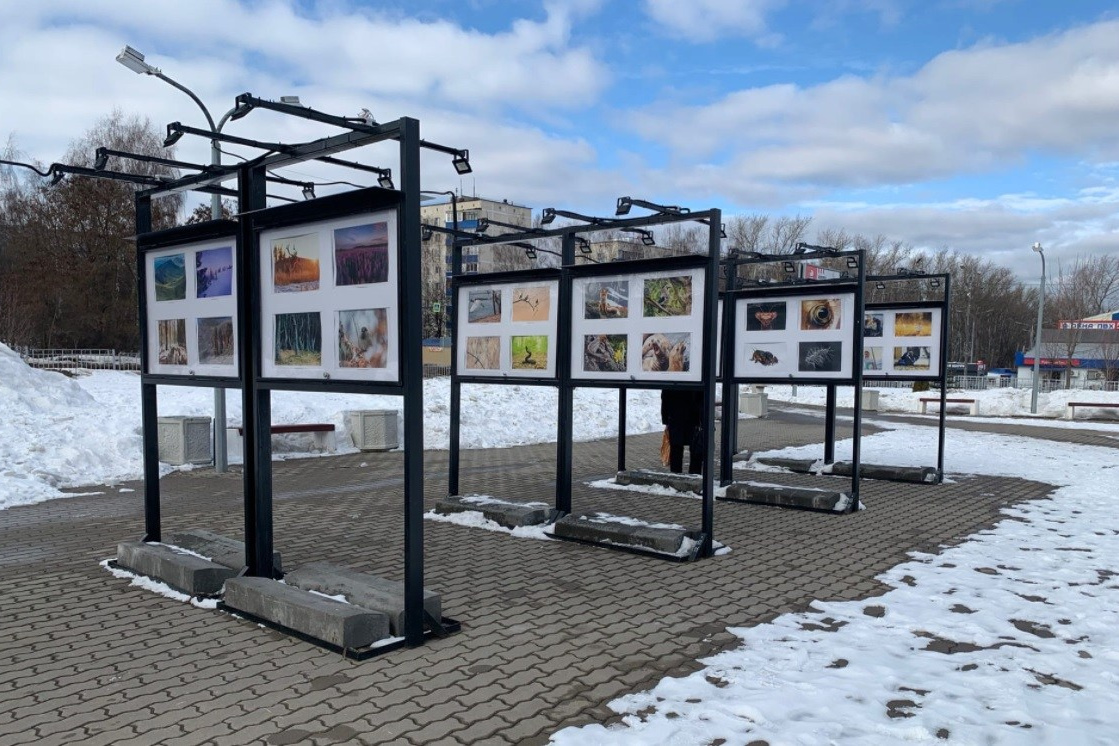 Новости. Сайт московского фотографа Дениса Иванова